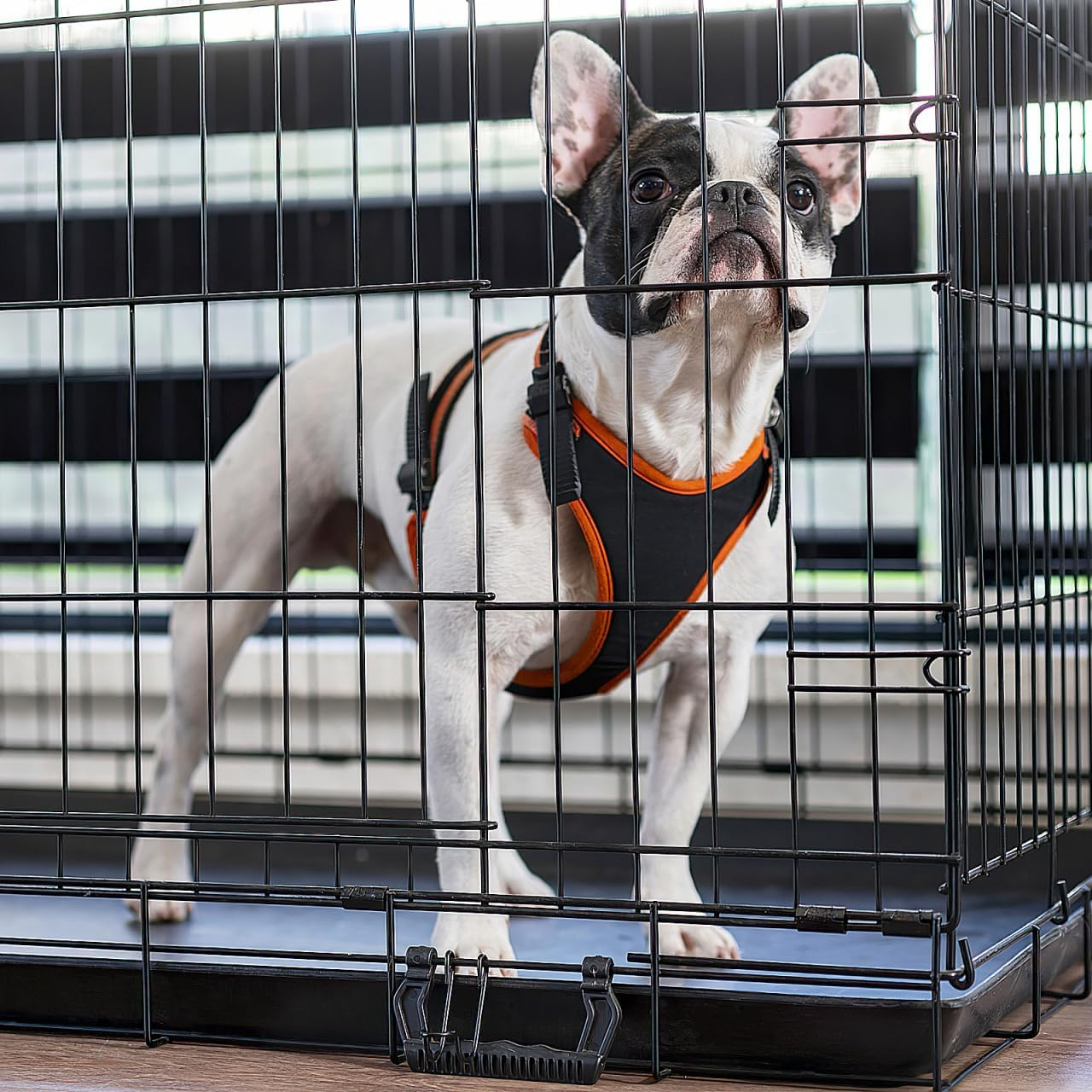 DOITOOL 2Pcs Replacement Floor Dog Cage Bird Cage Tray Dog Crate Holder Birdcage Bottom Tray Crate Tray Dog Tray for Crate Replacement Tray for Dog Crate Wax Rabbit Cage Medium Dog Plastic image number 6