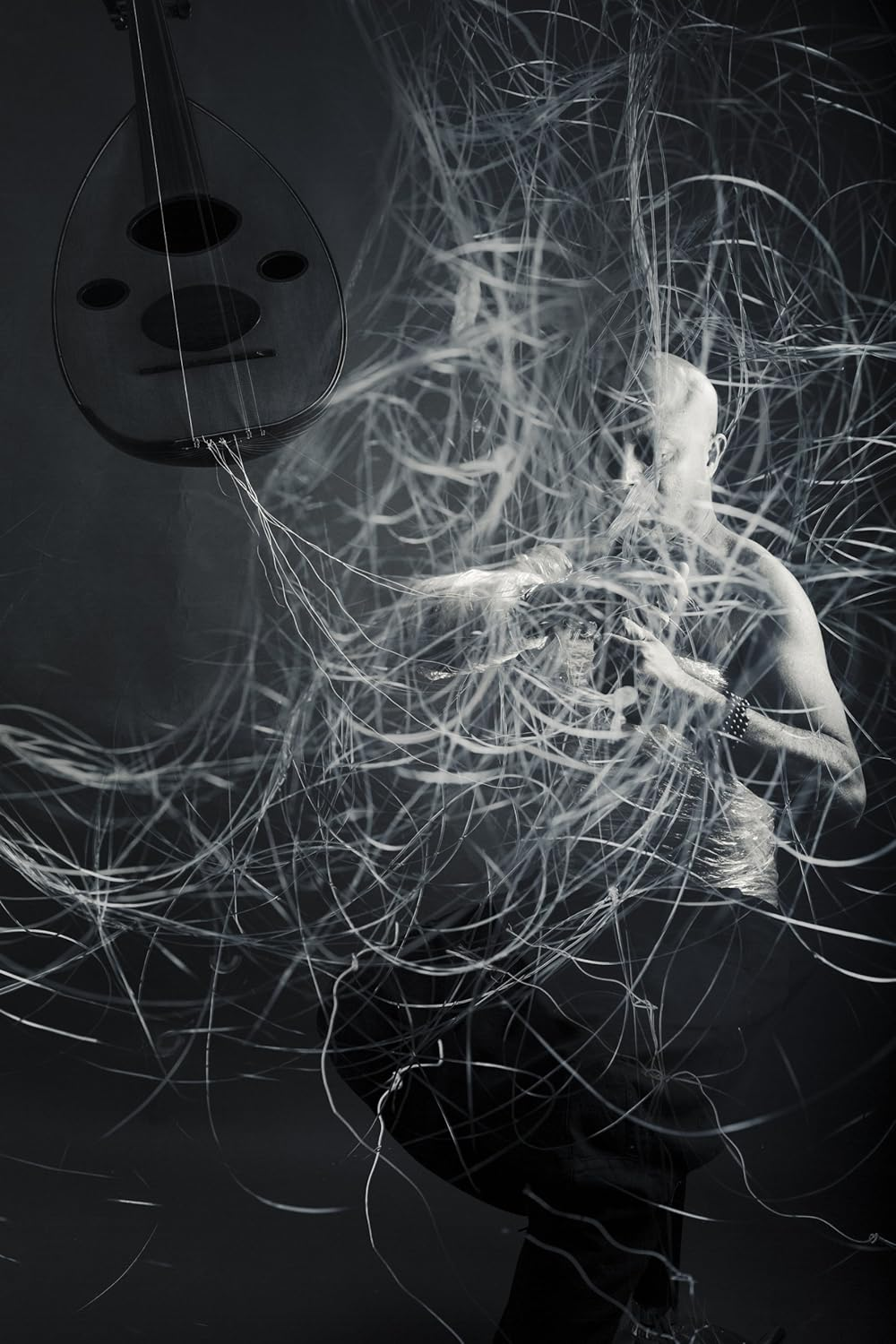 Birds Requiem image number 6