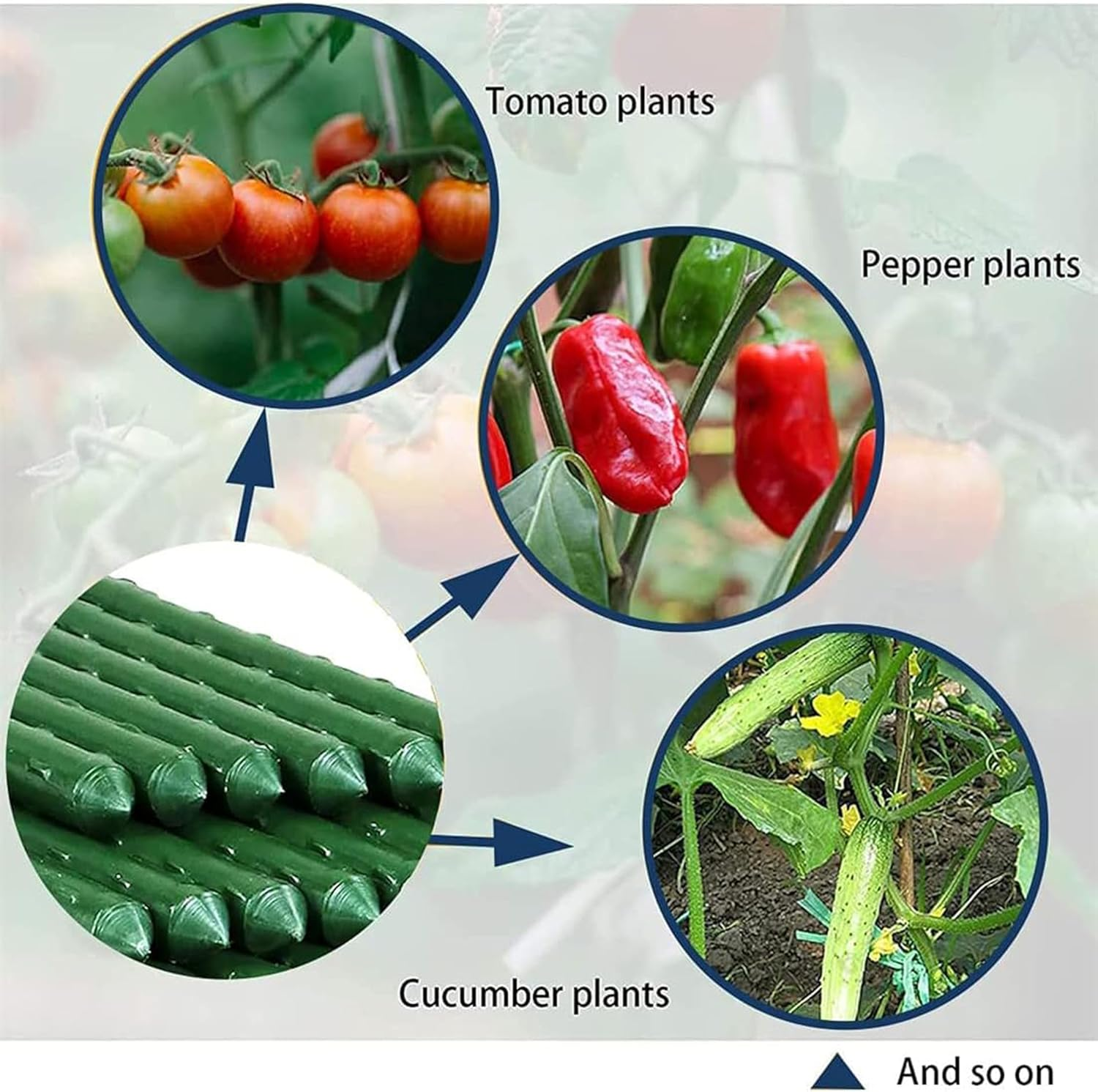 Garden Stakes Set,20Pcs Diameter Plant Stakes for Indoor Outdoor Plants,Diy 3Ft 4Ft 5Ft 6Ft 7Ft Plant Stakes for Outdoor Plants Set with 15 Connectors,Plant Support Stakes for Climbing Plants image number 1