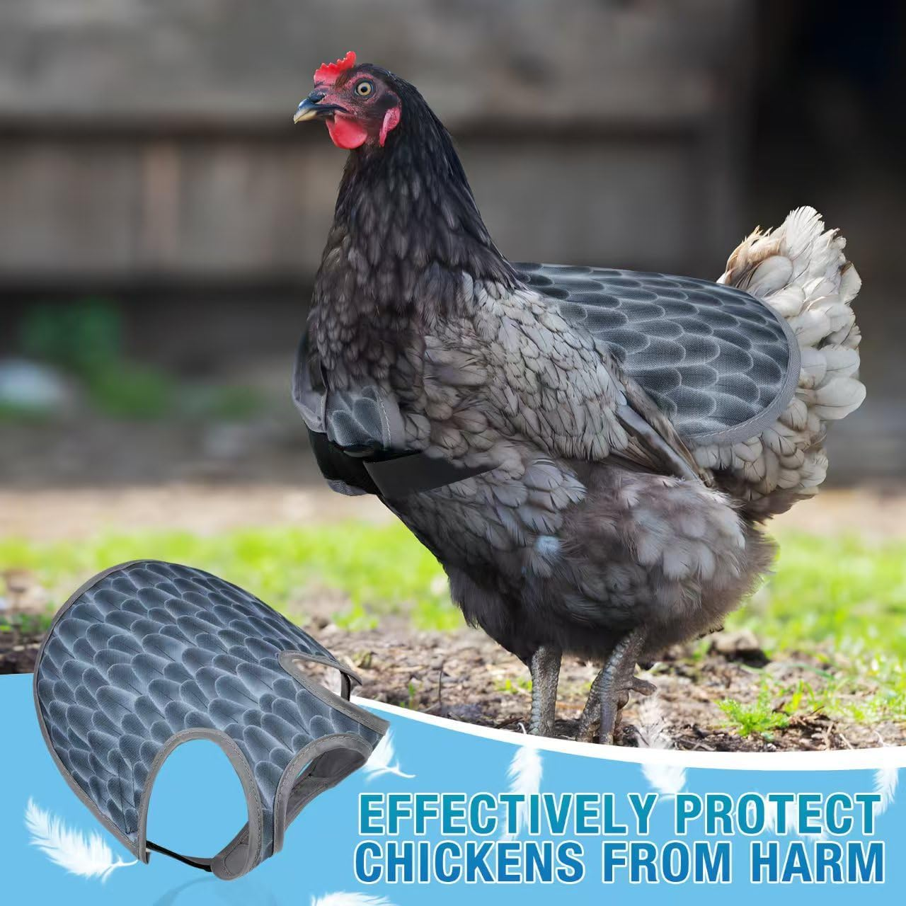 Chicken Saddles, Back Protector Apron with Adjustable Strap, Chicken Mating Saddle (Black, White, Grey, Yellow) image number 5