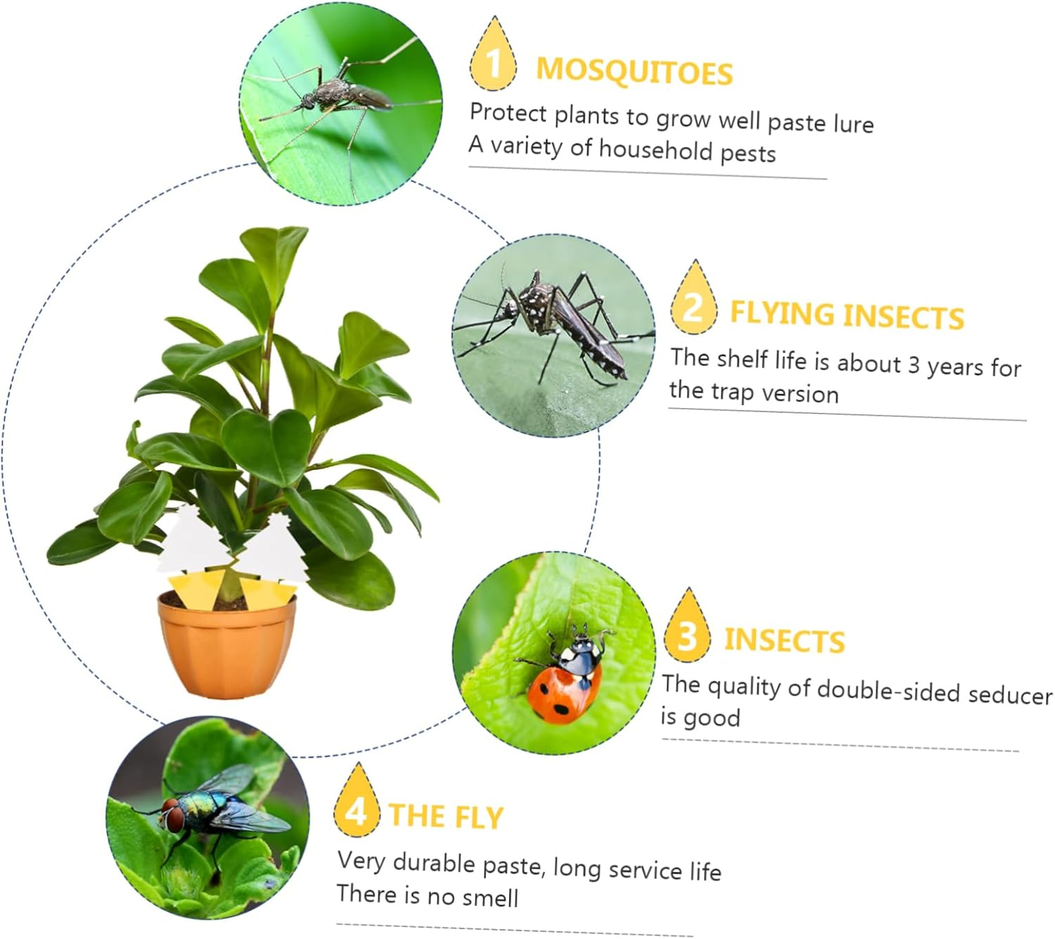 Garden Sticky Boards 30Pcs Bug Catching Plant Fly Sticky Traps Outdoor Use image number 3