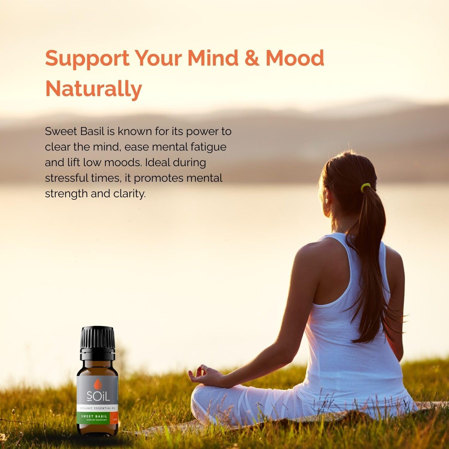 Soil Organic Basil Essential Oil, Essential Oil Diffuser, Versatile Applications, No Animal Testing, Parabens, Petro-Chemicals, Synthetic Colours, or Synthetic Fragrances, ECOCERT Certified, 10Ml image number 1