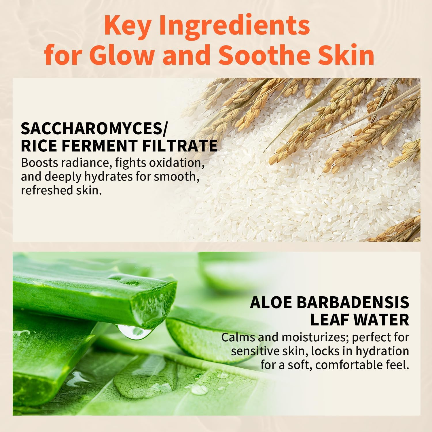 200Ml / 6.76Fl Oz Rice Toner with Aloe Leaf Water, Niacinamide and Centella Asiatica, Milky Toner for Soothing and Glowing Skin, Vegan Face Toner, Alcohol and Fragrance Free image number 1