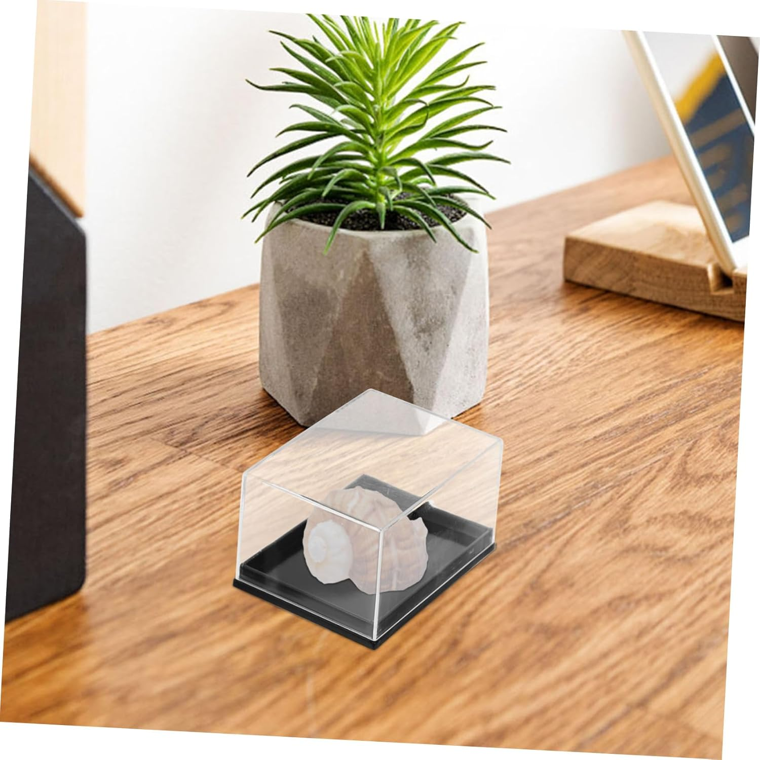 STOBAZA Mineral Specimen Display Box Set, 4Pcs Small Storage Case Lid, Plastic Specimen Storage Container for Jewelry and Mineral Collections in Australia image number 5