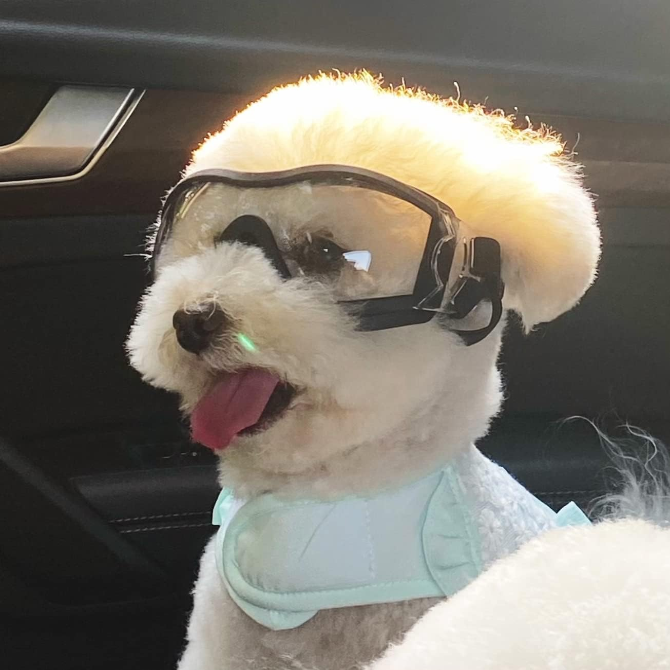 NAMSAN Dog Sunglasses Medium to Large Dog UV Transparent Goggles Windproof Anti-Dust Snowproof Pet Glasses with Elastic Straps, Clear image number 6