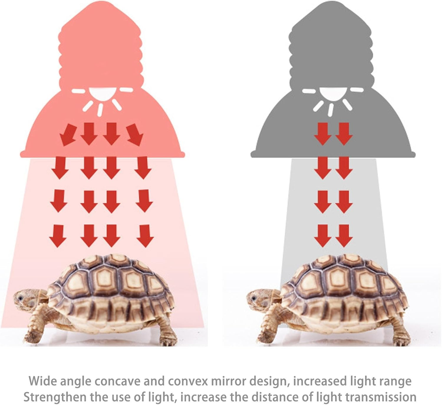 Reptile Heat Light Bulb, Energy Saving 25W Reptile Heat Light Replacement Bulb Continuous Light Release Aluminum UVA UVB for Frog (220V) image number 3