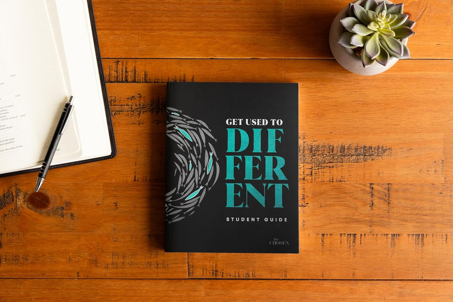 Get Used to Different image number 4