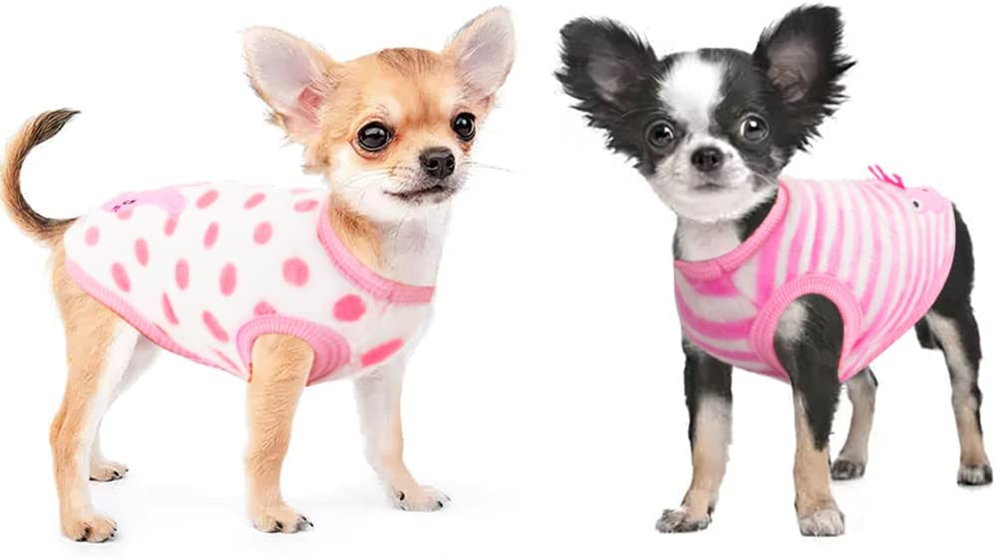 2 Pieces Small Dog Sweaters Chihuahua Fleece Clothes XXS~S Winter Warm Puppy Sweaters Boys Girls Tiny Dog Outfits for Teacup Yorkie Puppies Extra Small Breed Costume (Xx-Small)