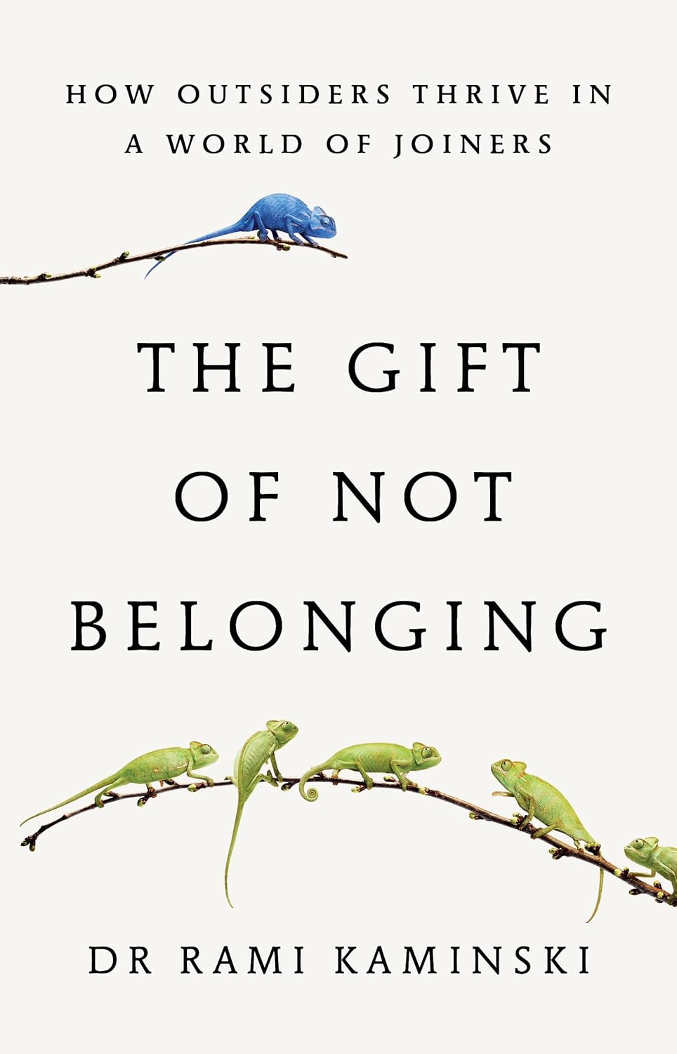 The Gift of Not Belonging: How Outsiders Thrive in a World of Joiners image number 1