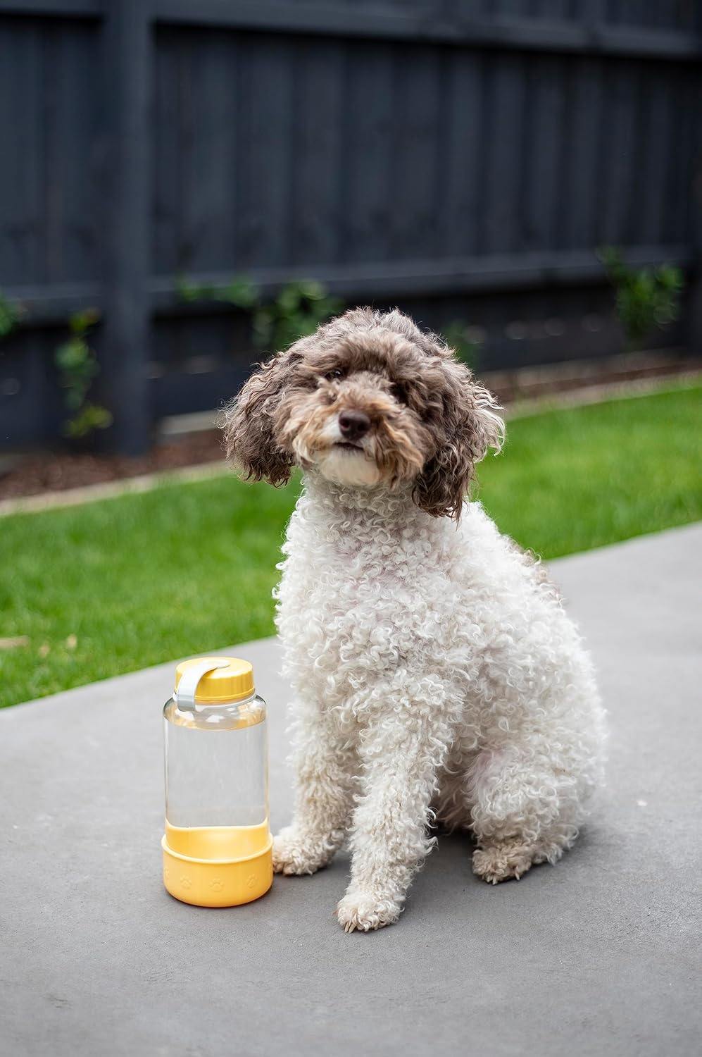 Lock & Lock Pet Water Bottle, 1 Litre Capacity image number 5