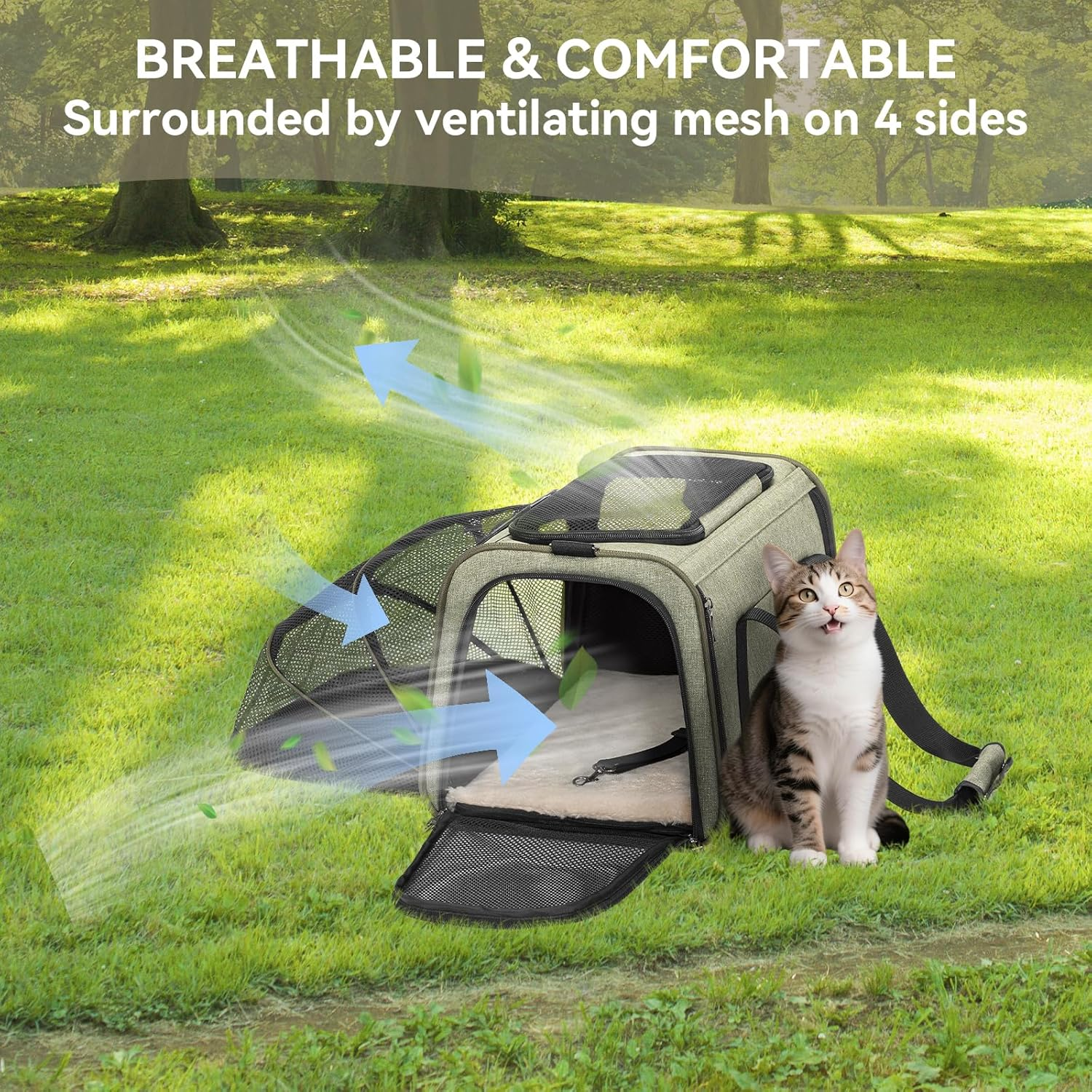 Petsfit Expandable Pet Carrier Airline Approved, Soft-Sided Portable Cat Carrier Dog Carrier, with Removable Plush Mat, Locking Safety Zippers and Pockets, Green image number 1