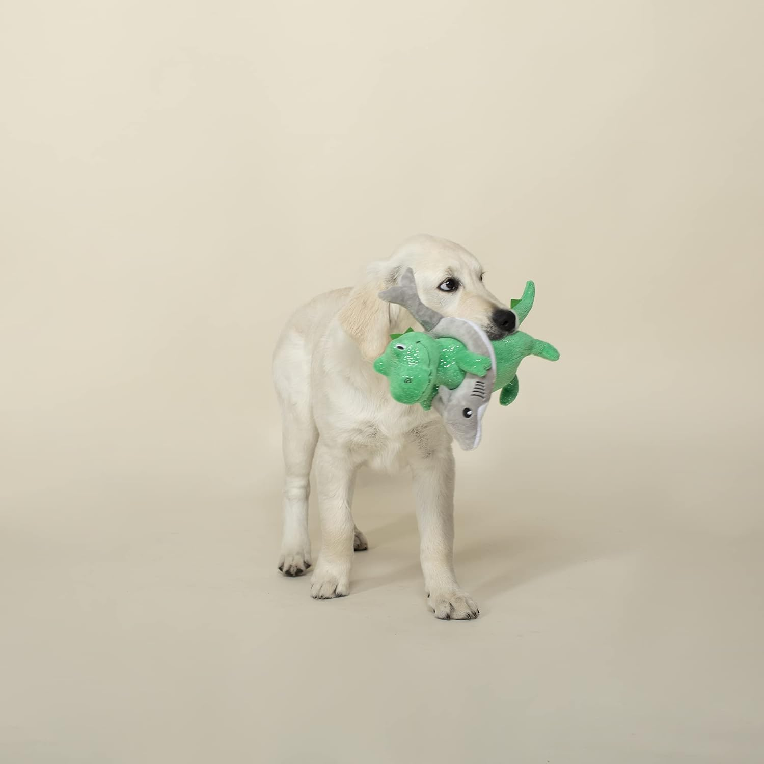 Fringe Studio Plush Dog Toy, Shark Week REX (289879) for All Breed Sizes - Shark Week image number 3