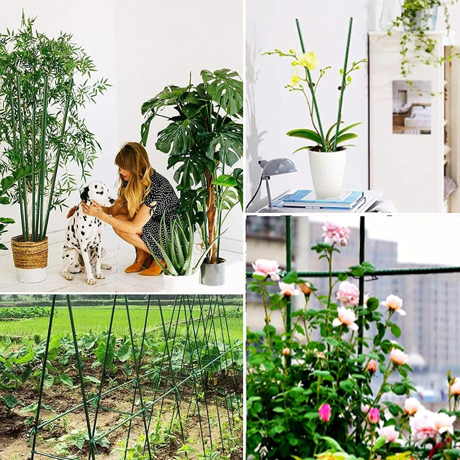 Garden Stakes Set,20Pcs Diameter Plant Stakes for Indoor Outdoor Plants,Diy 3Ft 4Ft 5Ft 6Ft 7Ft Plant Stakes for Outdoor Plants Set with 15 Connectors,Plant Support Stakes for Climbing Plants image number 6