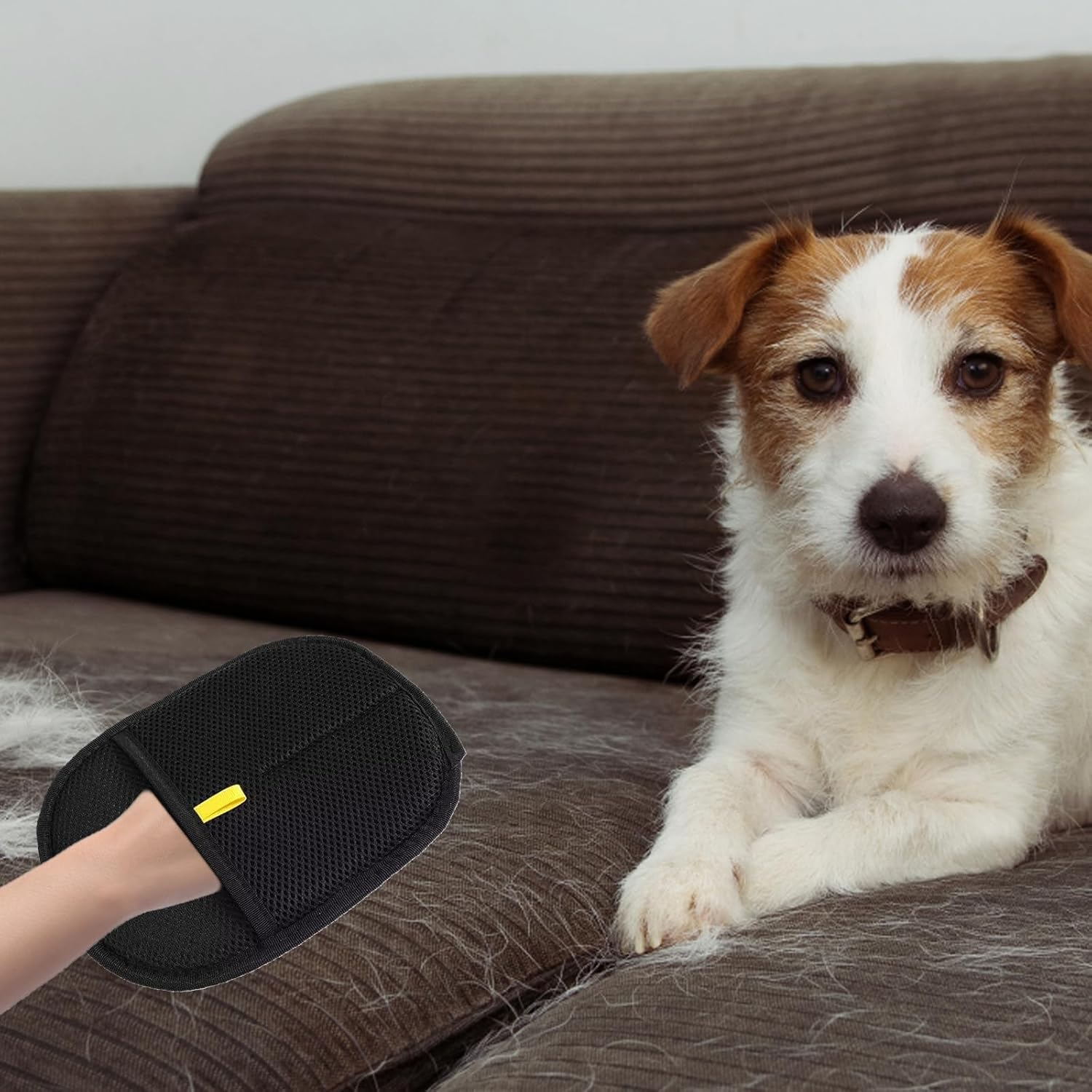 Fur Magnetic Gloves, Pack of 3 Pet Hair Remover Gloves, Cat Hair Removal, Pet Hair Glove for Smooth and Healthy Coat, High-Quality Velvet and Mesh Materials, 21 X 17.5 X 1 Cm image number 2