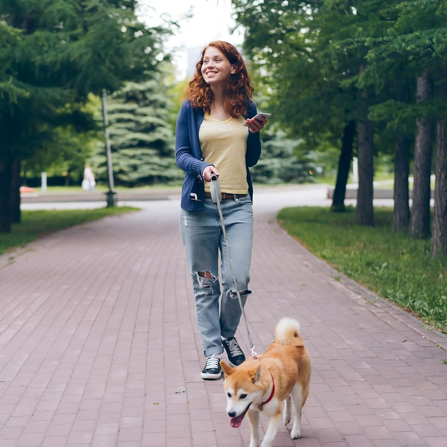 Retractable Dog Lead, IKEEP 5M/16FT Extendable Dog Lead with Strong Nylon Tape Tangle-Free One-Handed Brake, Pause, Lock for Small Medium Dogs (Blue) image number 6