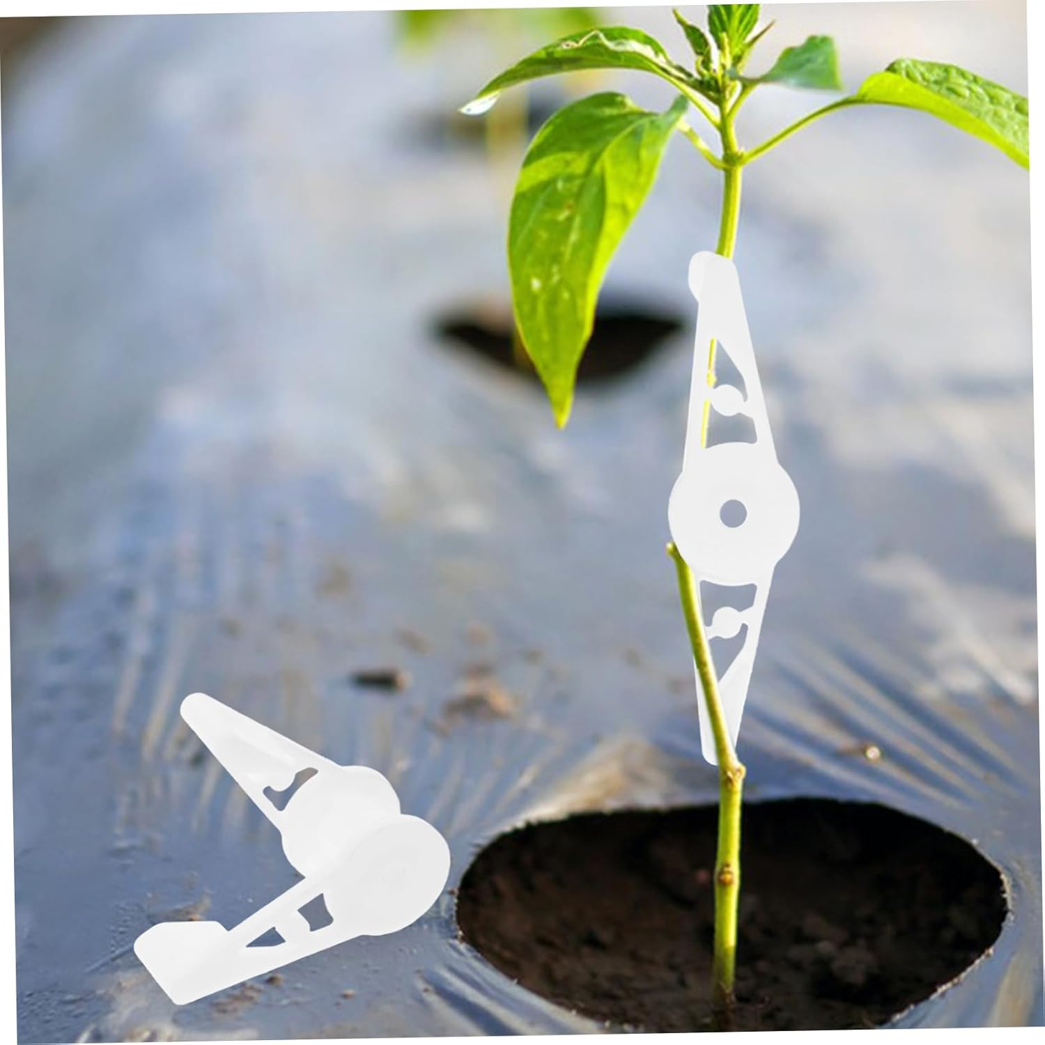 CIYODO 30Pcs Stem Bending Tool for Plant Training Plant Clips Stem Training Clips for Gardening image number 4