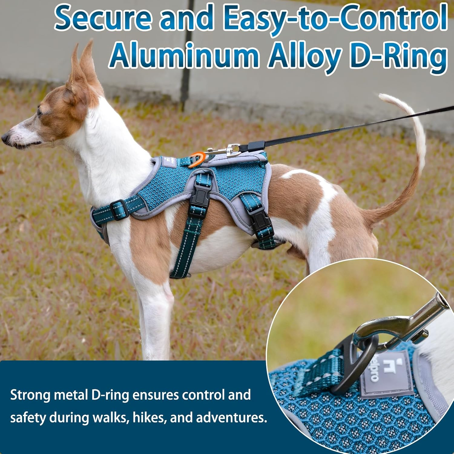 BELPRO Multi-Use Support Dog Harness, Escape Proof No Pull Reflective Adjustable Vest with Durable Handle, Dog Walking Harness for Big/Active Dogs (XL (Pack of 1), Blue)