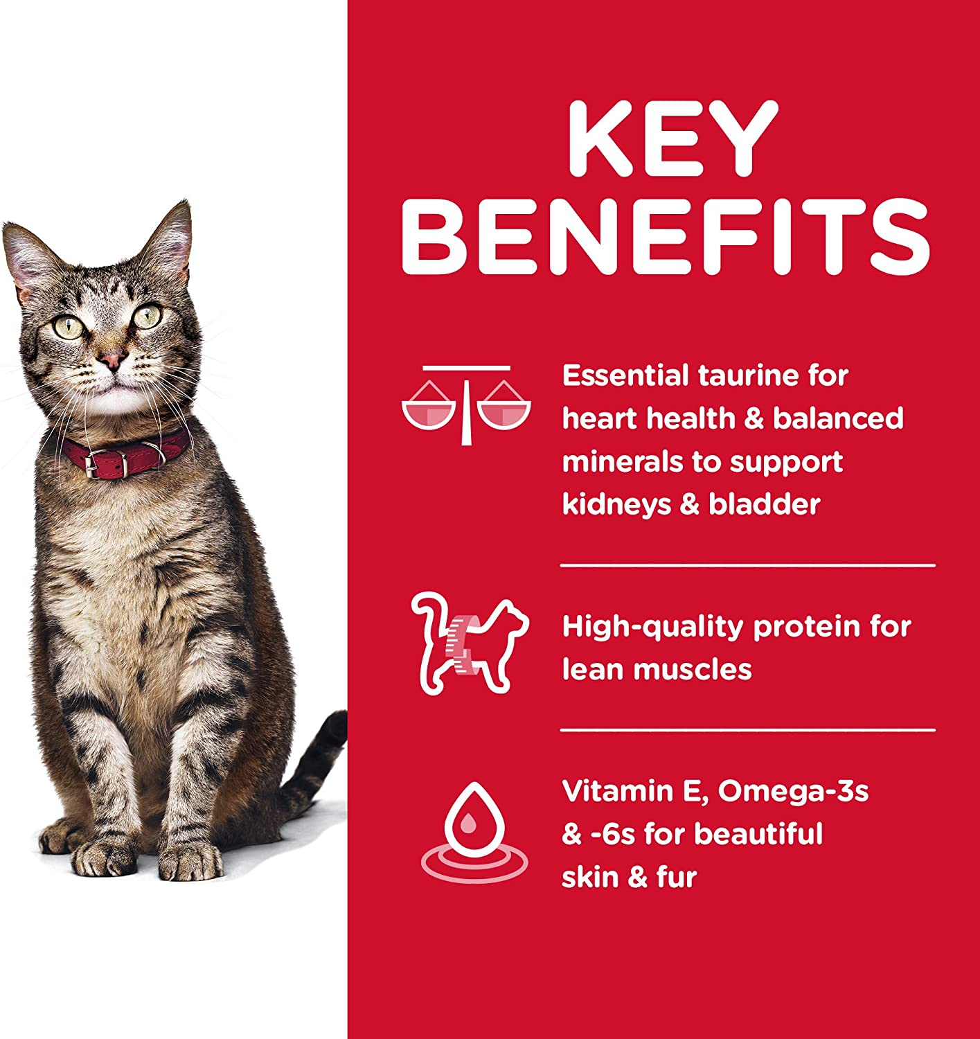 Hill'S Science Diet Adult, Chicken Recipe, Dry Cat Food, 4Kg Bag image number 6