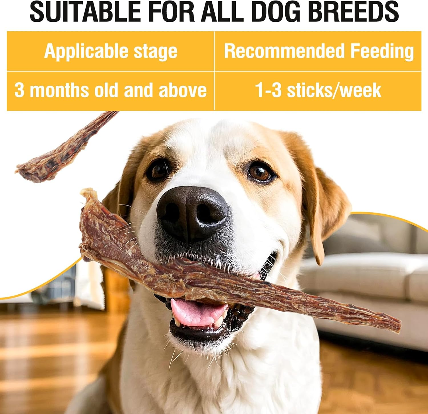 Natural Beef Tail Bones for Dogs - Long-Lasting Dental Chew, Rawhide-Free & Digestible Dog Treats,Single Ingredient Grass-Fed Beef（2 PCS） image number 2