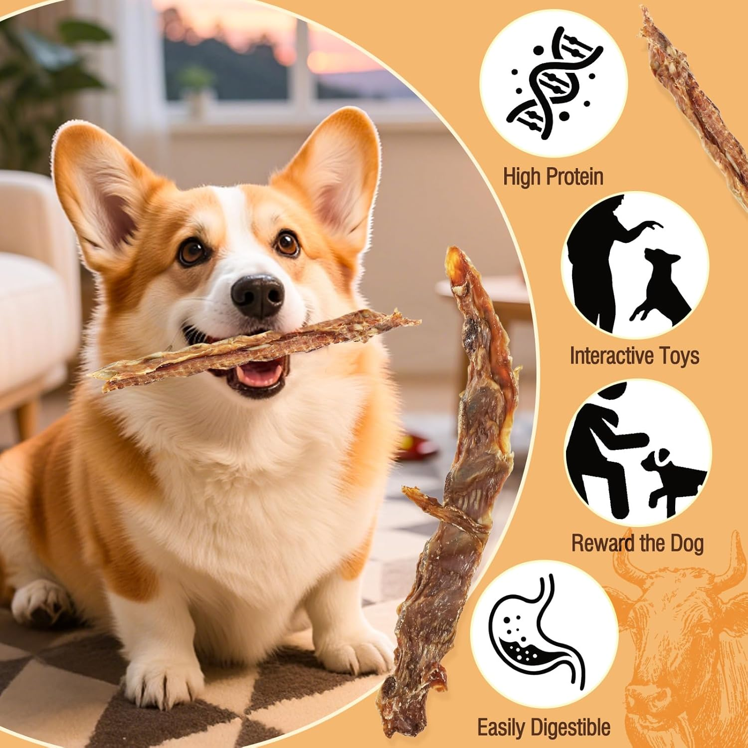 Beef Rib Bones Dog Treats,100% Natural Rib Bone Beef Chews from Grass Fed Cattle,Long Lasting Dog Chew Bones for Aggressive Chewers,Promotes Dental Health,150G image number 3