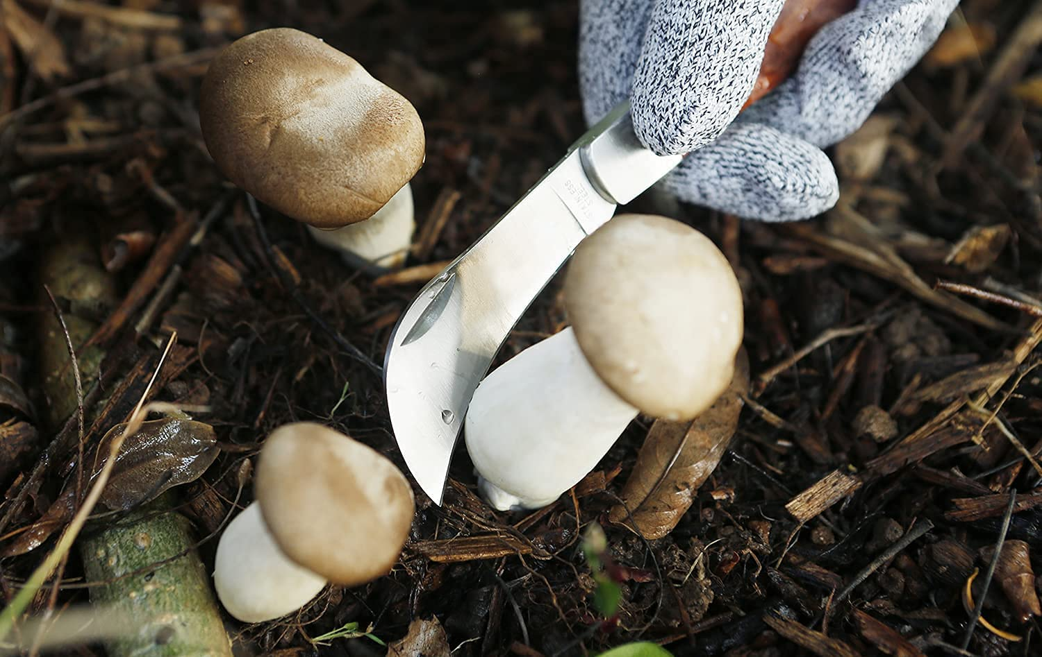 Grafting Knife with 2 Blades & 2 Tapes - Stainless Steel Gardening Tool for Plant Grafting, Pruning, Fruit Picking - Portable Rosewood Handle, Bark Lifter (Foldable) image number 2