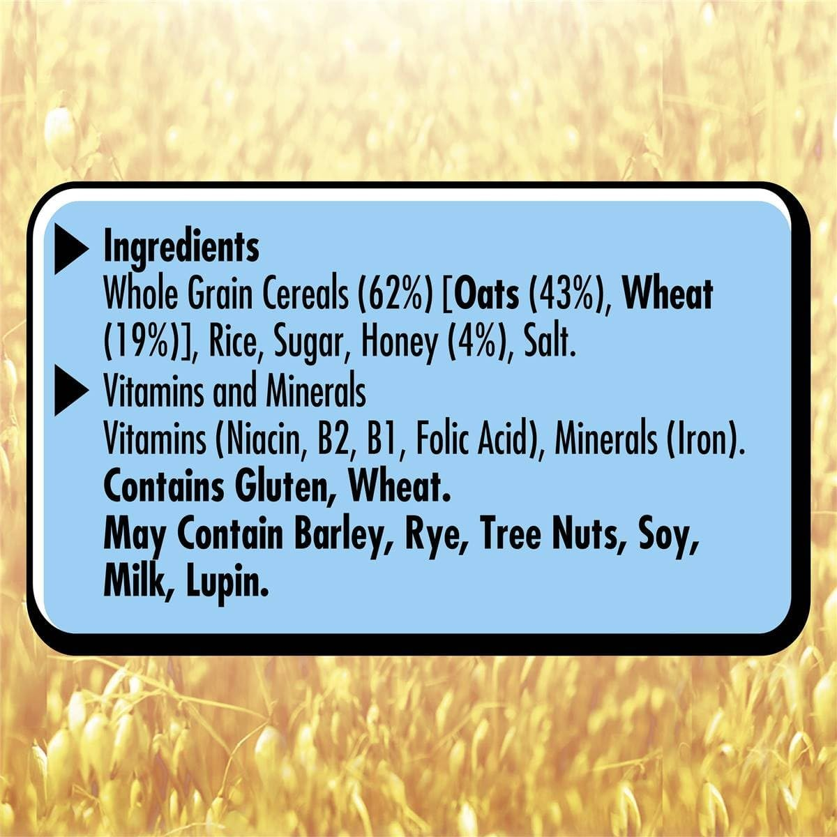 Uncle Tobys Oat Flakes Breakfast Cereal 650 G image number 5