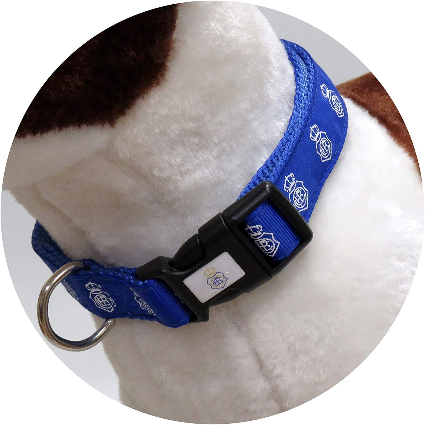 CYP BRANDS - Huelva Recreative - Dog Collar - Size S image number 1