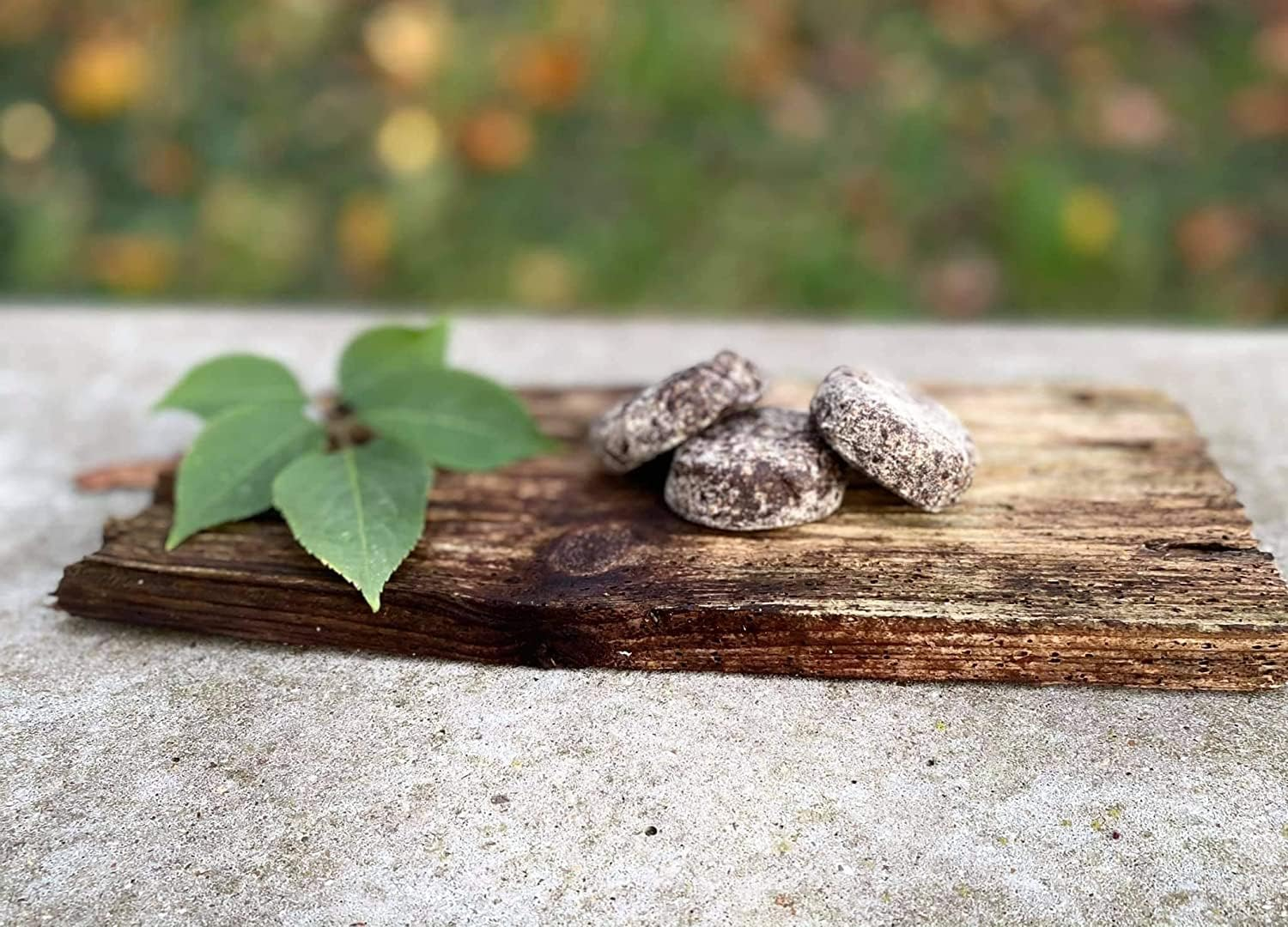 Premier Performance CZ Calming Cookies Variety Pack- 12 Pack image number 1