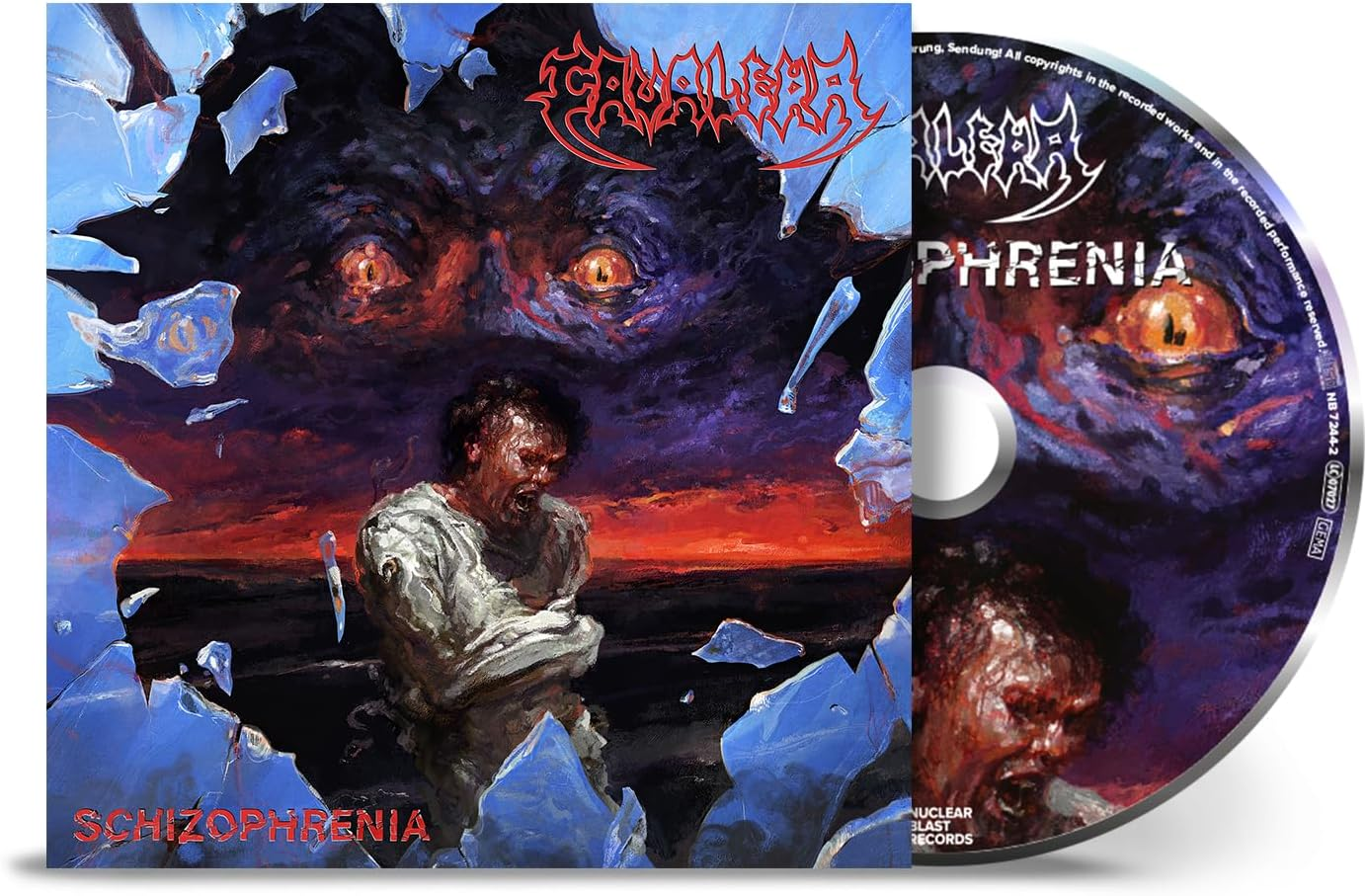 Schizophrenia Schizophrenia