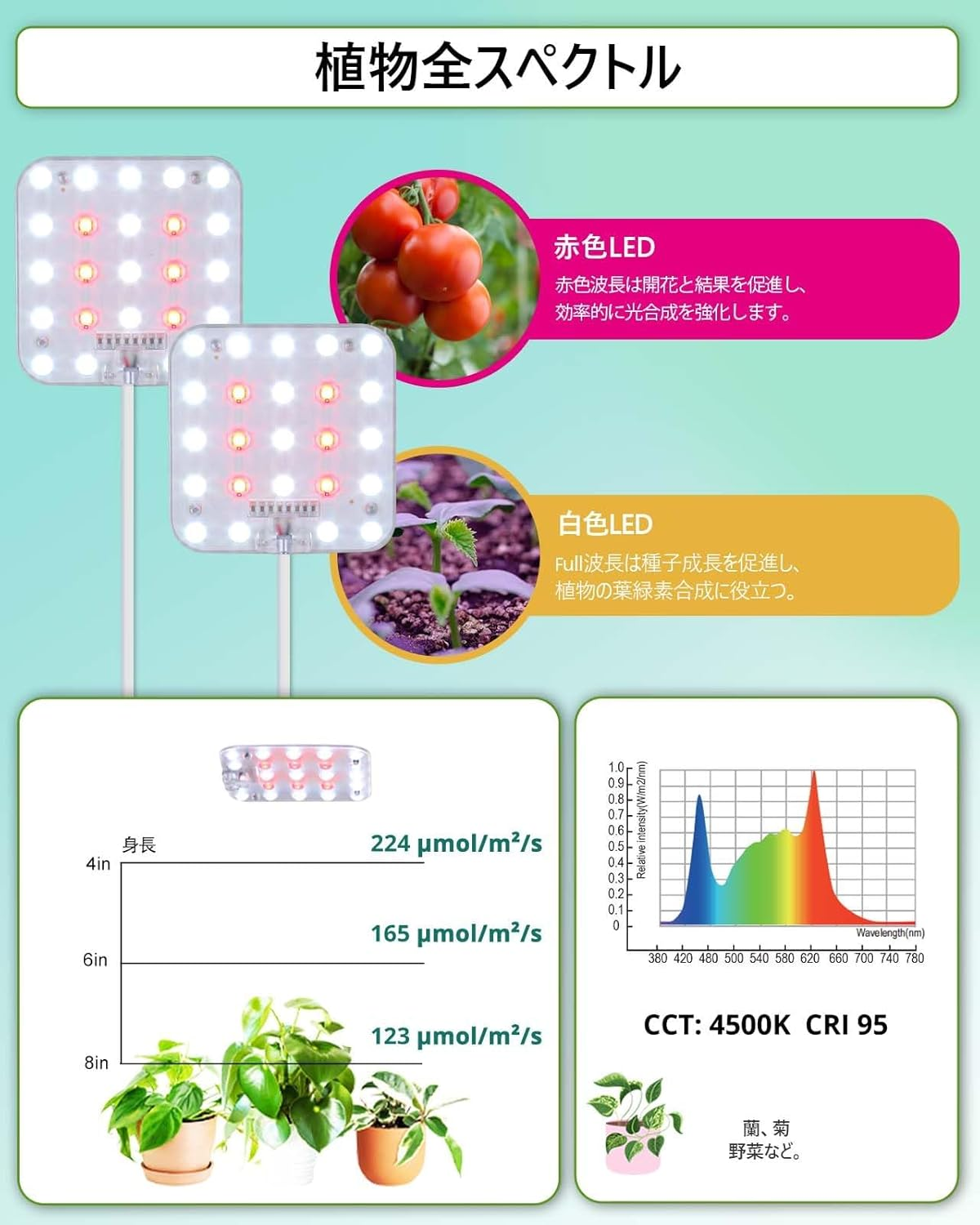 DOMMIA Grow Lights, 2-Pack Natural White Dimmable Grow Lights for Indoor Plants Full Spectrum with Optical Lens, LED Grow Light with Timer 6/12/16H, under Counter Plant Light with Adapters