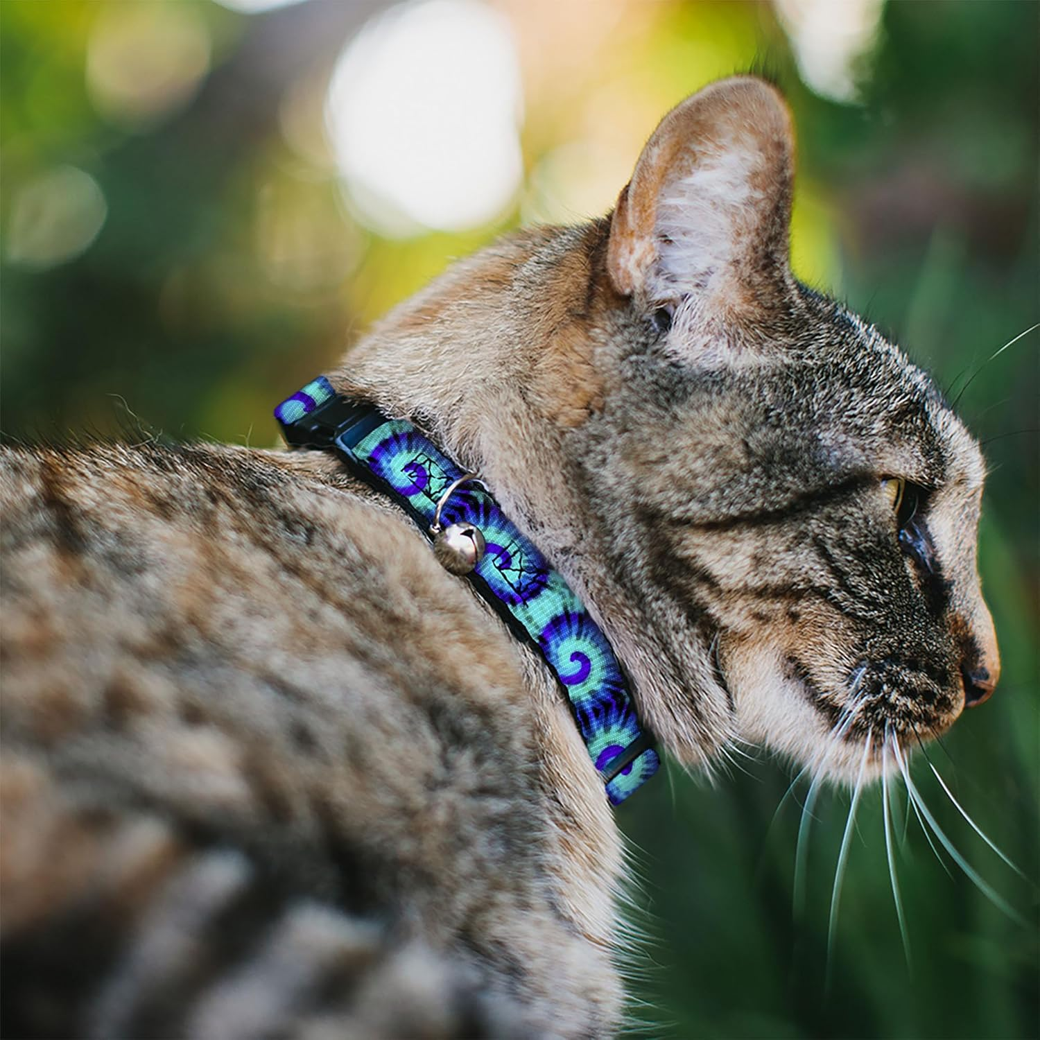 Buckle-Down BAC-W34607-NM Breakaway Cat Collar, 1/2" Wide-Fits 8-12" Neck-Medium, Tie-Dye