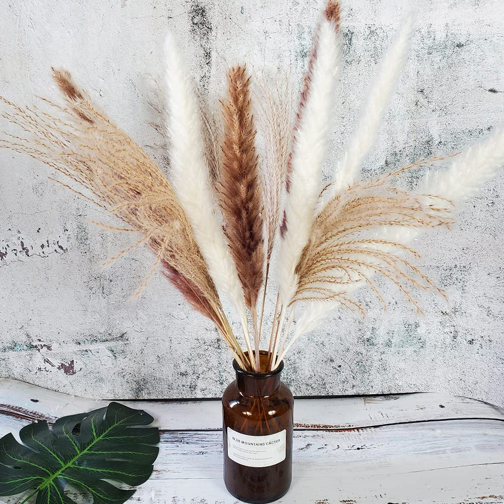 Total 60 Pcs | 15 Pcs White Pampas & 15 Pcs Brown Pampas & 30 Pcs Reed Grass/Natural Dried Pampas Grass for Flower Arrangements Home Decor image number 4