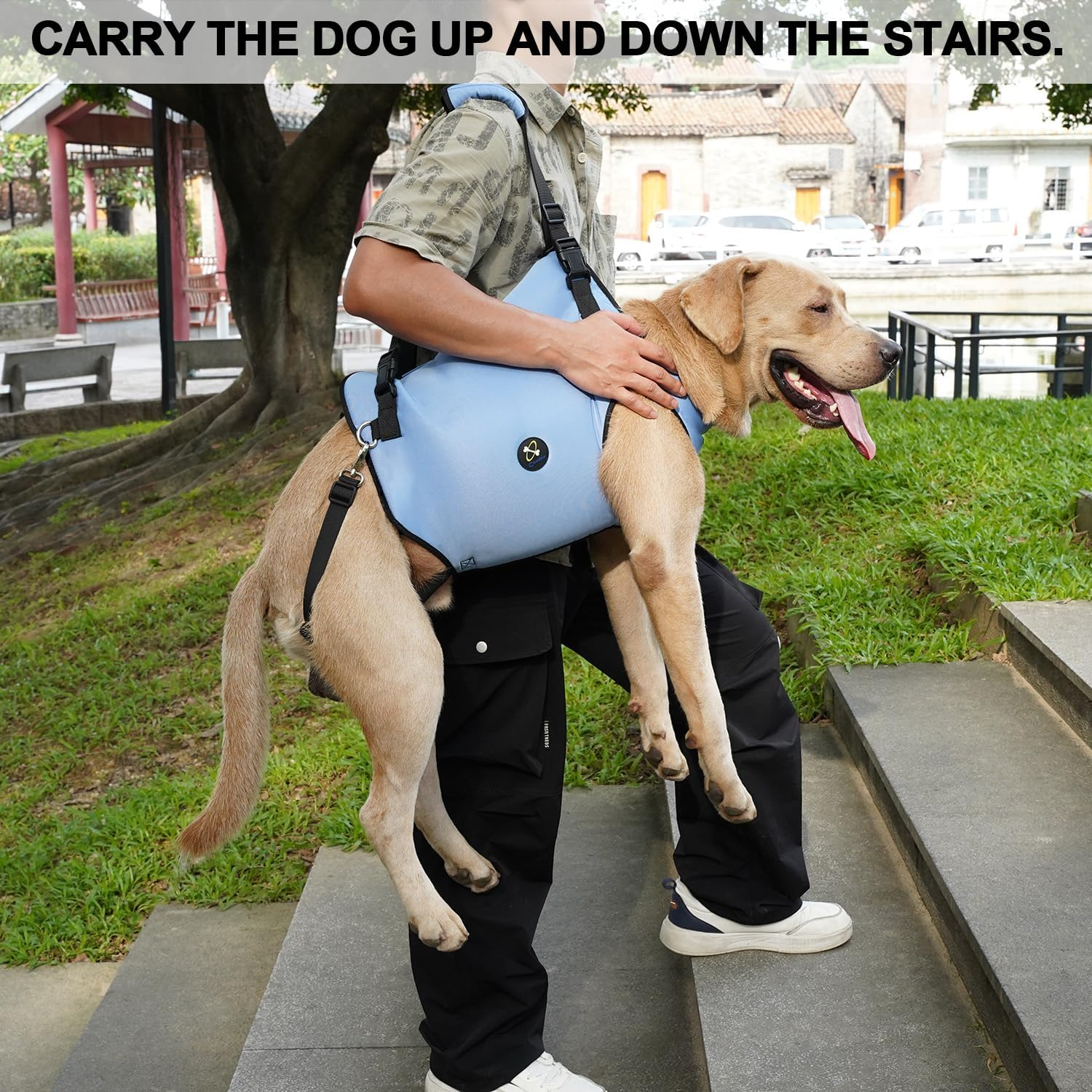 COODEO Dog Lift Harness, Pet Support & Rehabilitation Sling Lift Adjustable Padded Breathable Straps for Old, Disabled, Joint Injuries, Arthritis, Loss of Stability Dogs Walk (Small) image number 6