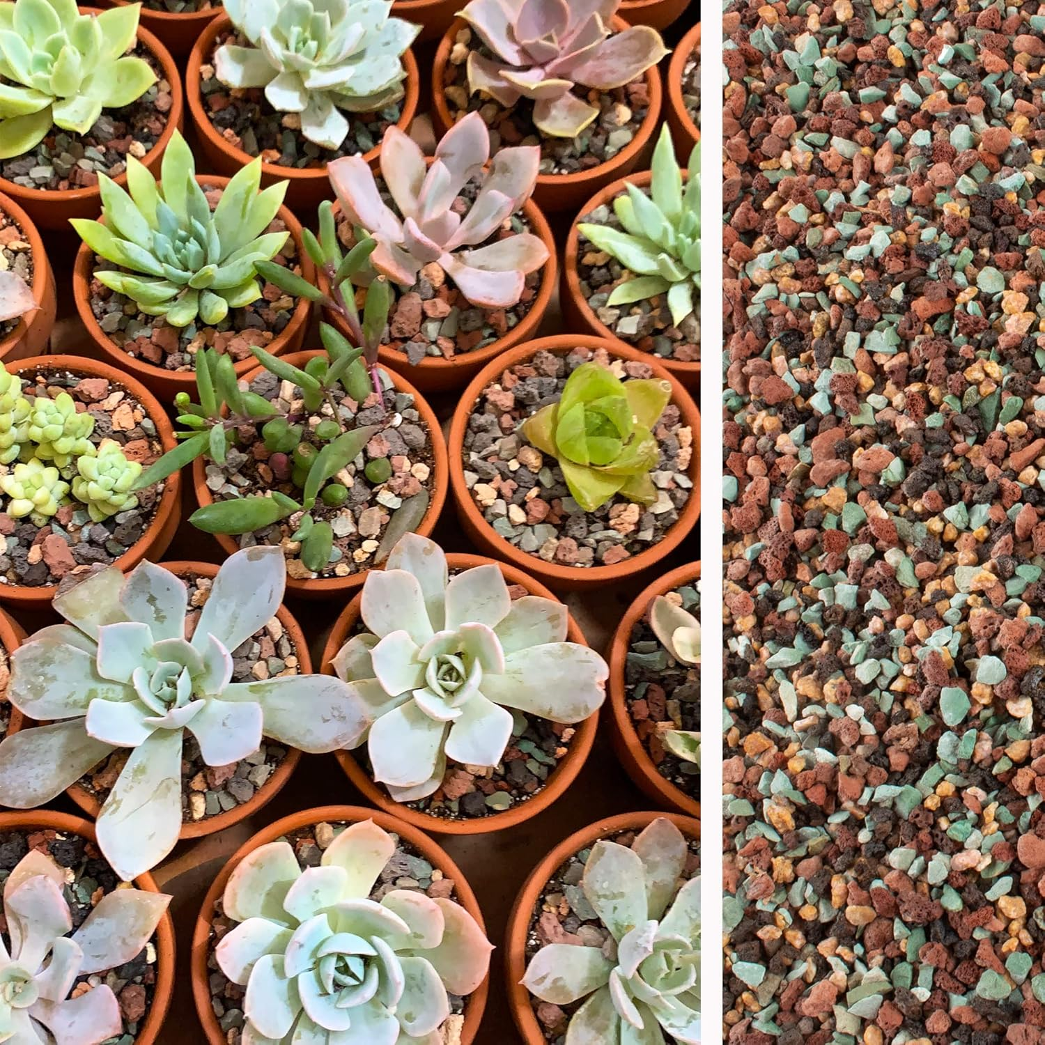 7Lb Mix Lava Rocks for Plants in Door -Gravel Pebbles for Bonsai Succulent Cactus Potting Soil and Vase Fillers, Fairy Gardening,Top Dressing image number 5