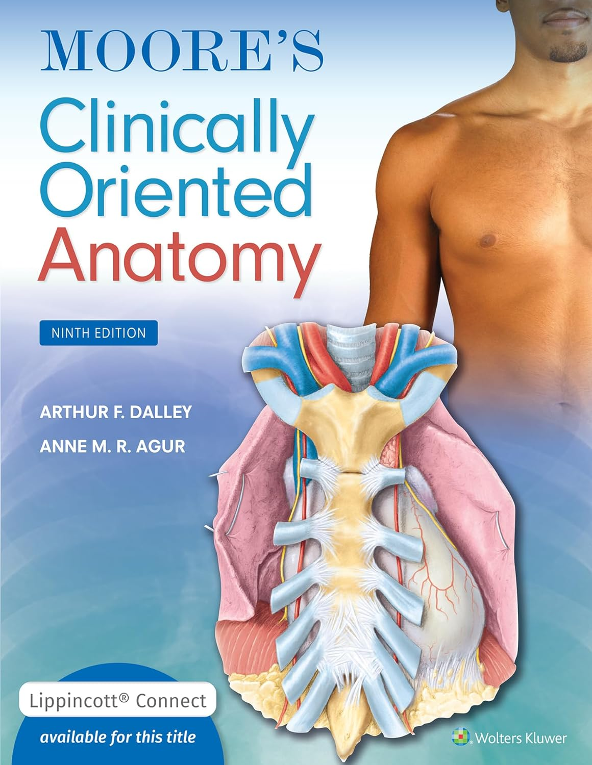 Moore'S Clinically Oriented Anatomy: 9Th Edition (Revised)