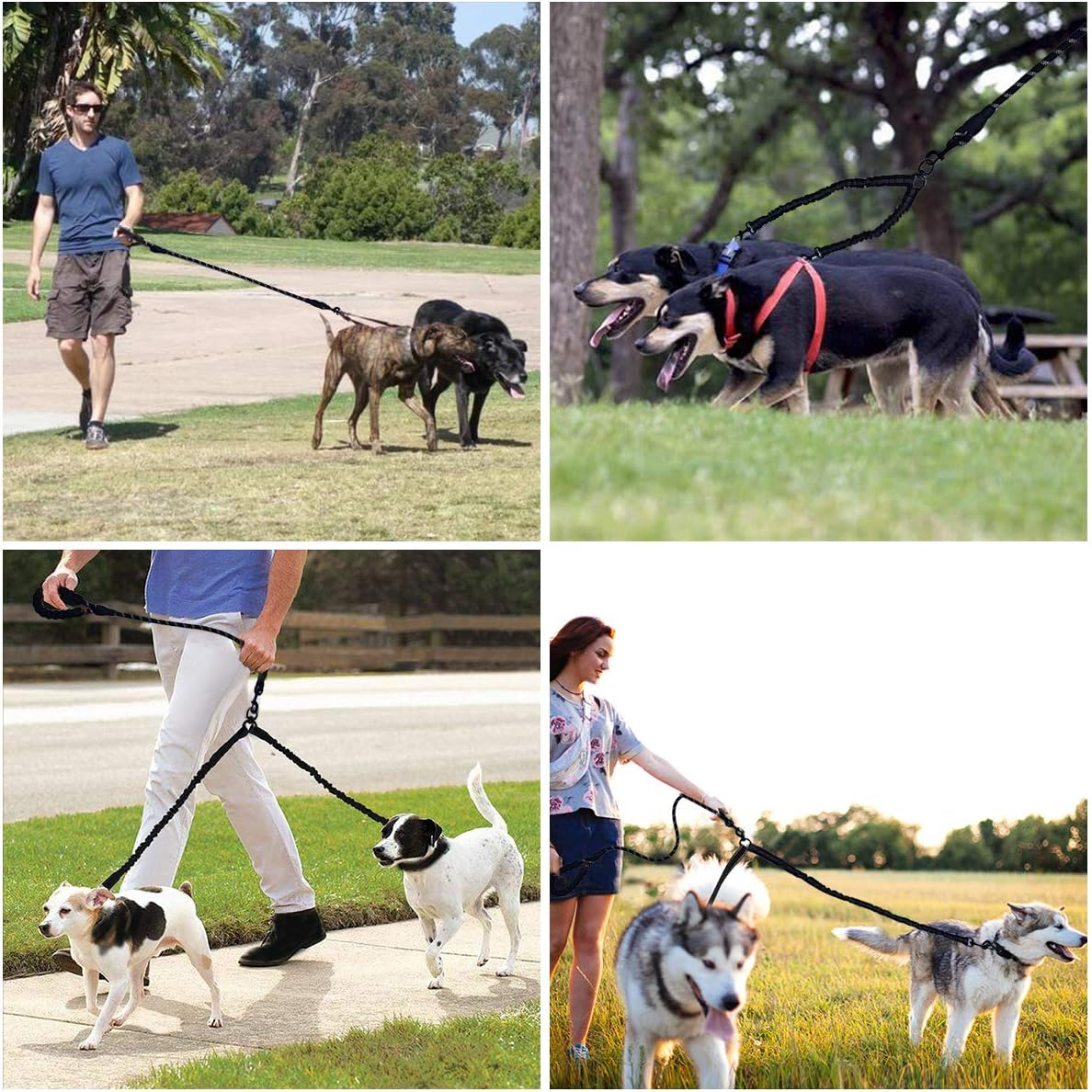 U-Pick Dual Dog Leash, Double Dog Leash, 360 Swivel No Tangle Double Dog Walking Training Leash, Comfortable Shock Absorbing Reflective Bungee for Two Dogs, Black, Medium Large image number 5