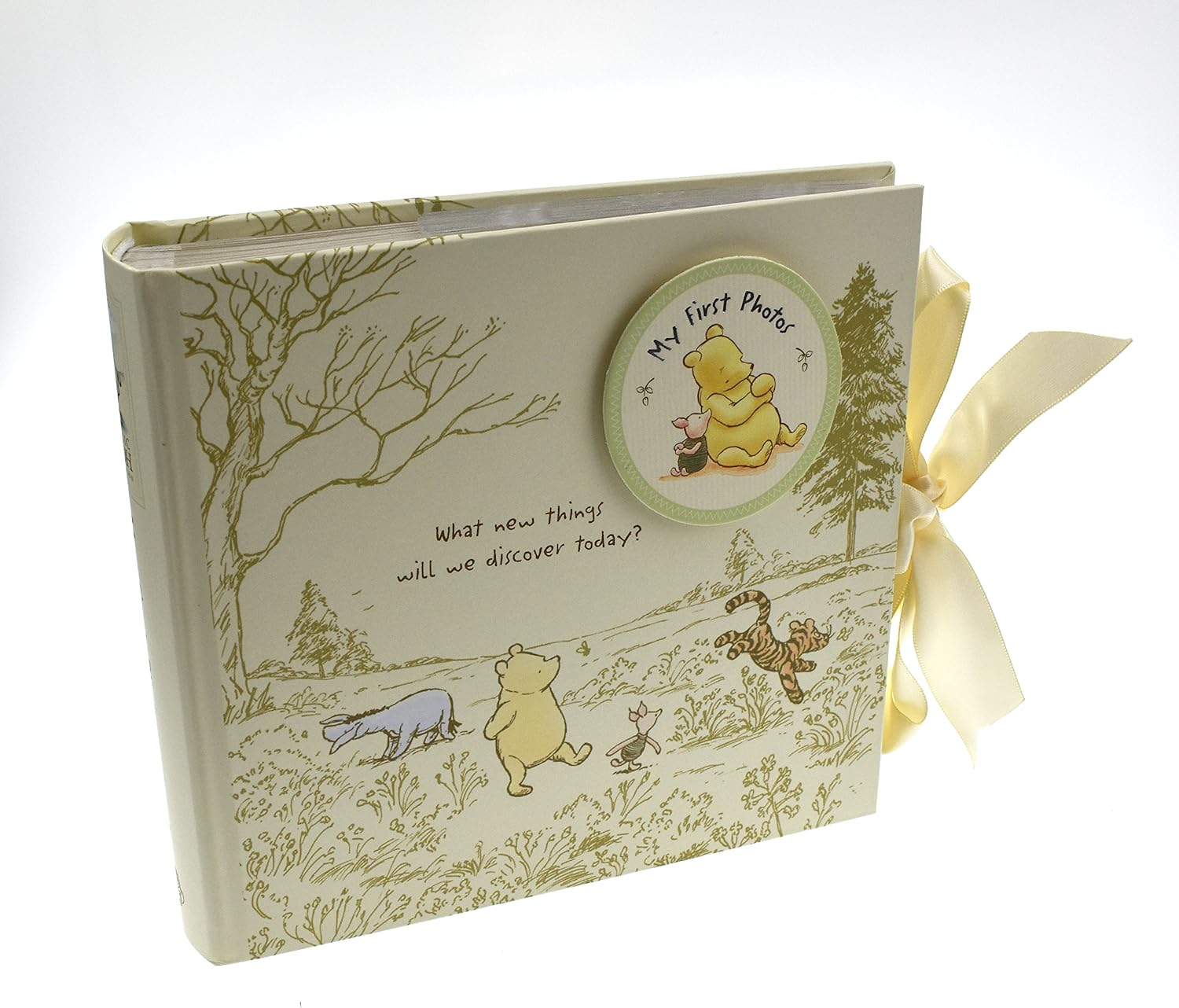Disney Magical Beginnings Classic Pooh My First Photos Baby Album for 6 X 4 Photographs New (DI165), 200 G WBM-GFT45 image number 1