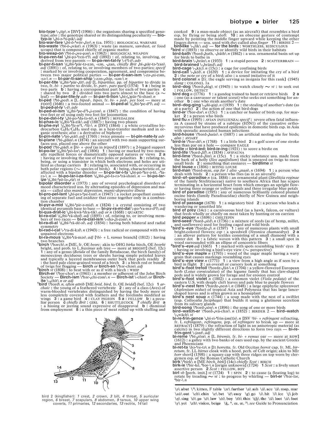 Merriam-Webster'S Collegiate Dictionary, 11Th Edition, Jacketed Hardcover, Indexed: Revised and Updated image number 4