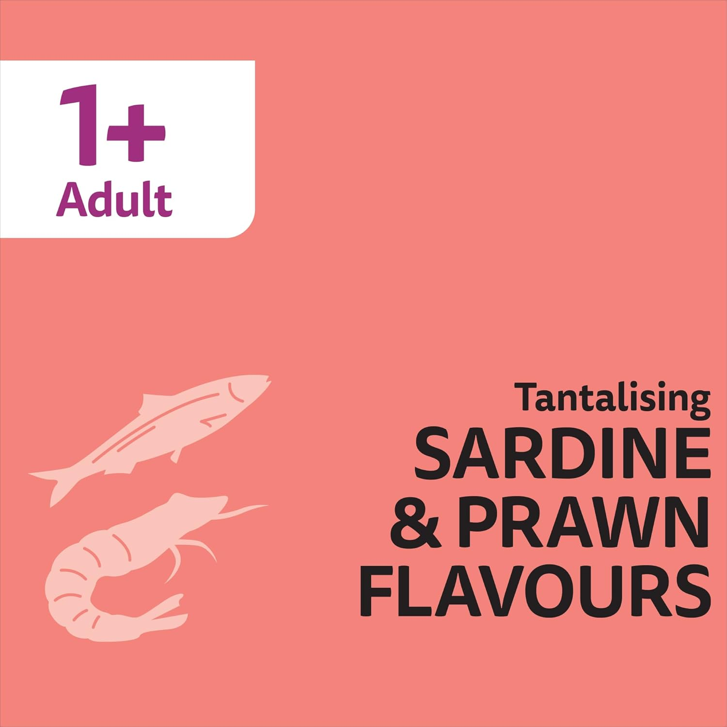 Whiskas Furball Sardine and Prawn Adult Dry Cat Food 800 G Bag, 6 Pack image number 6