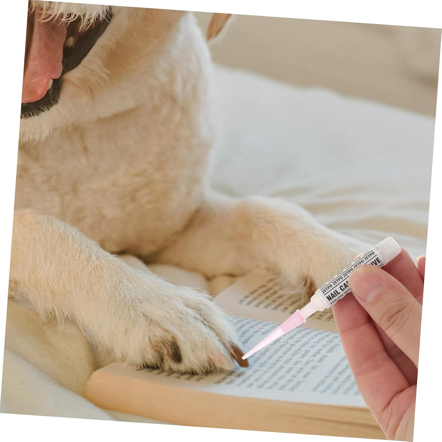 Ipetboom 10Pcs Cat Quick Drying Nail Glue Special Pet Nail Glue Kitten Nail Caps Glue Adhesive Glues for Cat Pet Accessories Pet Adhesive Glue Pointy Soft Claw Nail Set Fingernail image number 1