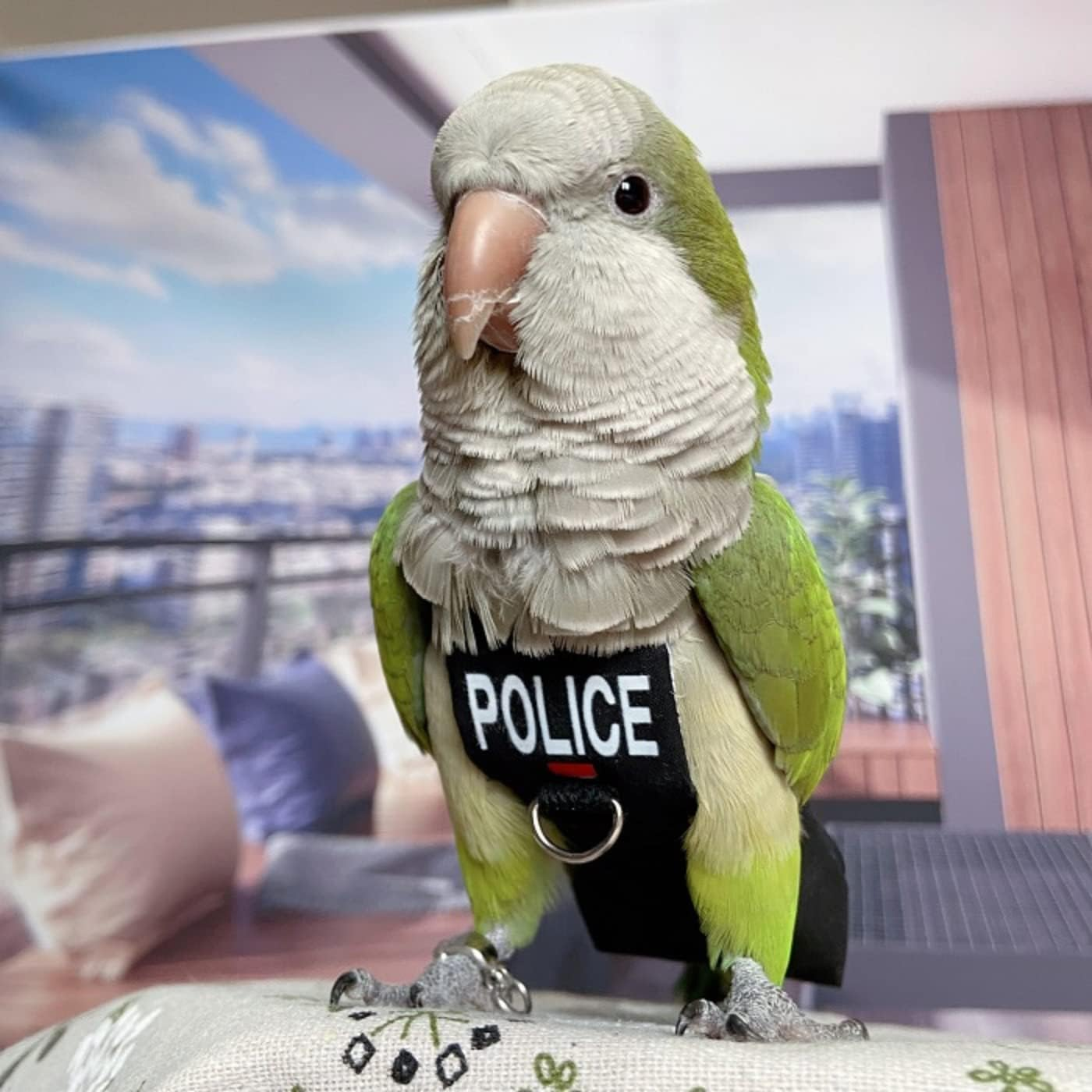 Bird Diaper Harness Flight Suit Clothes, Parrot Flight Suit with Leash for Parrot, Bird Flying Clothes with Rope and Handle for Outdoor Activities Training (With Leash - Xx-Large) image number 3