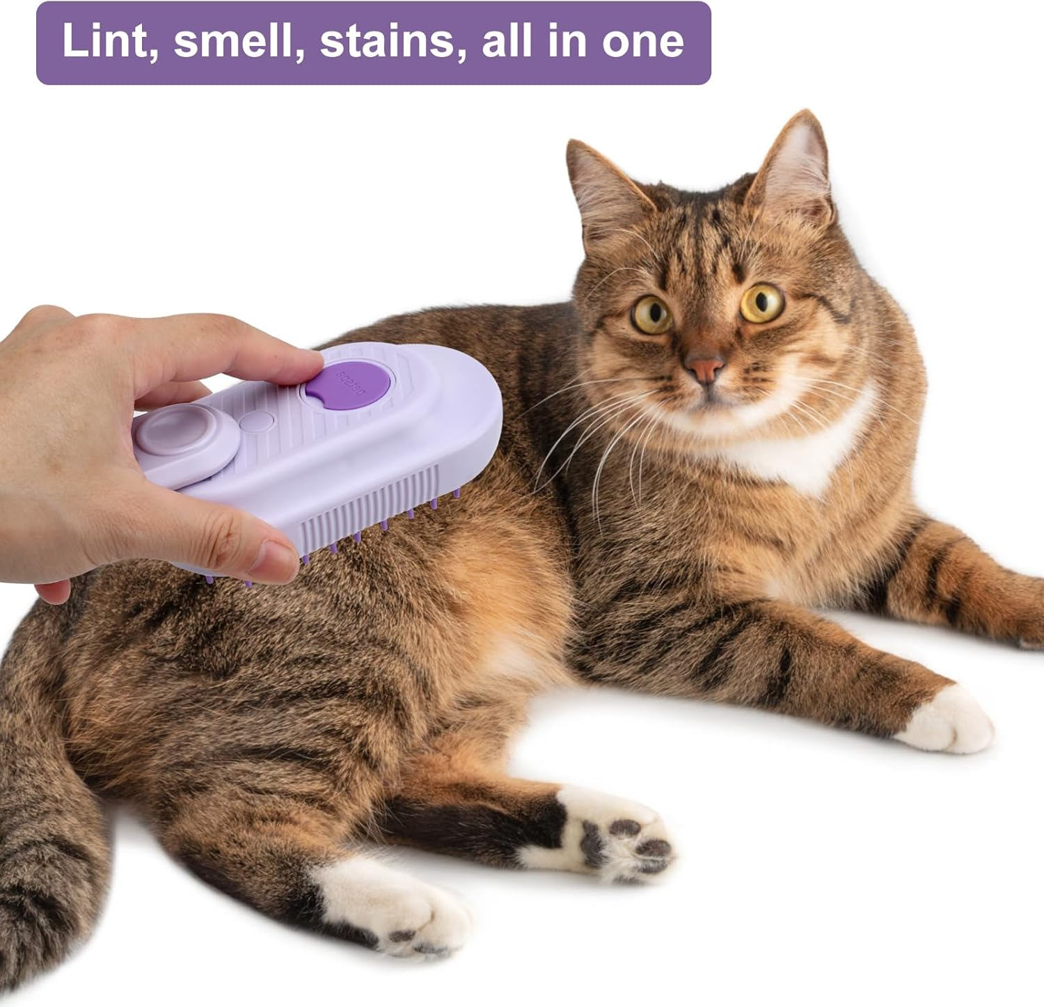 HENGBIRD Steam Brush for Cats and Dogs - Cat Brush with Steam, Dog Brush, Water Brush, Steamy Pet Brush (Purple)