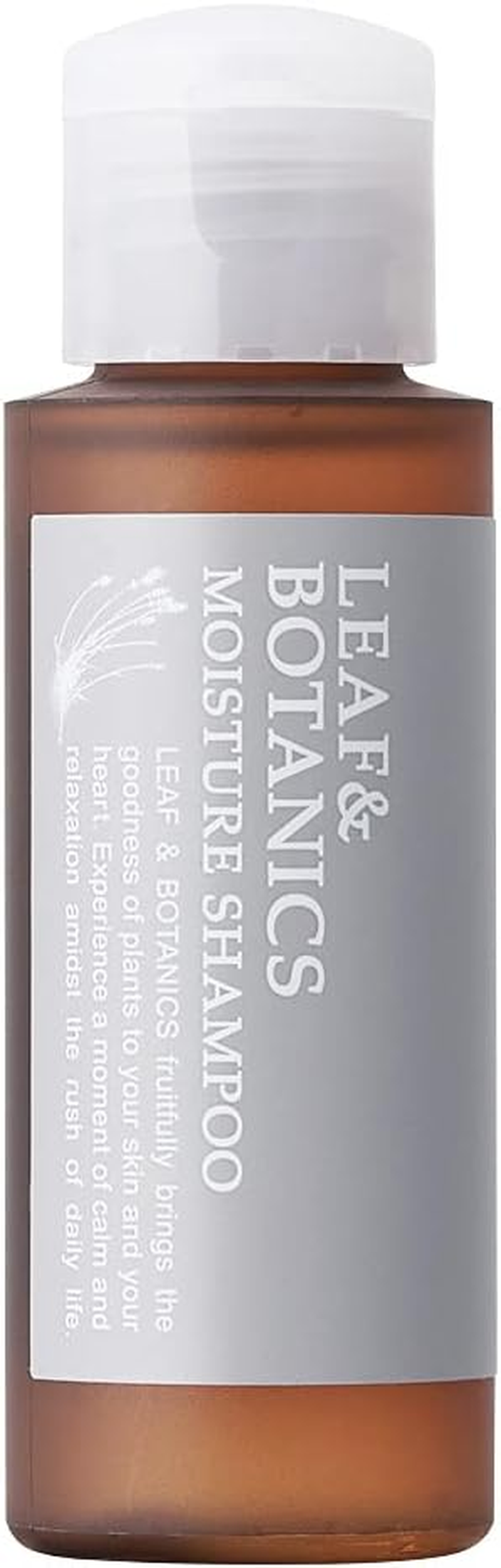 Leaf & Botanics Moisture Shampoo Refill, 12.5 Fl Oz (370 Ml), Lavender image number 2