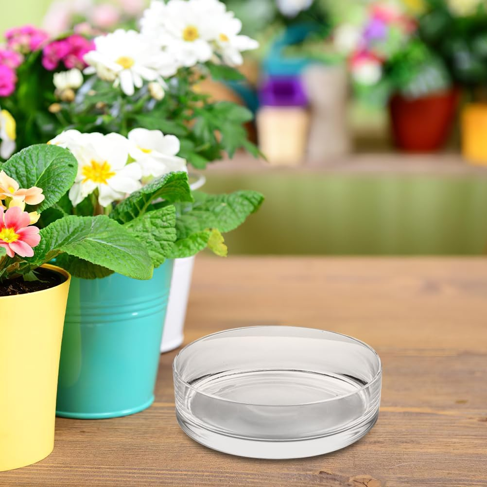 ARTIBETTER Glass Vases Bowl Terrarium Succulent Planter: Flower Glass Vase Air Plant Display Decorative Centerpiece Floral Container Fish Bowl for Home Wedding 20X20Cm Glass Containers image number 3