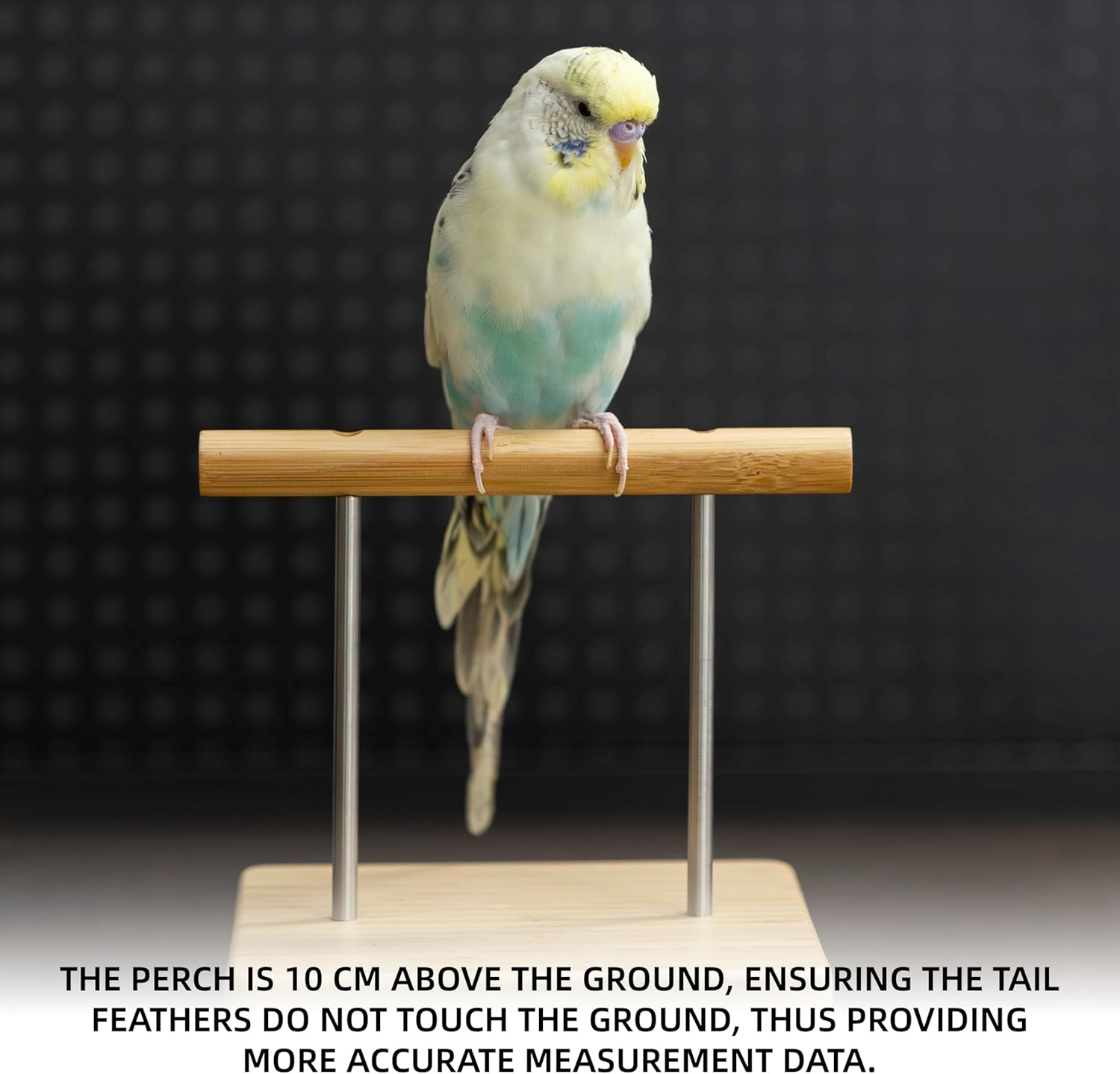 NEOUZA Perch-Mounted Bird Scale, Parrot Training Weight Scale with Perch, Suitable for Society Finches, Canaries, Budgerigars, Cockatiels, African Greys, Pigeons image number 3