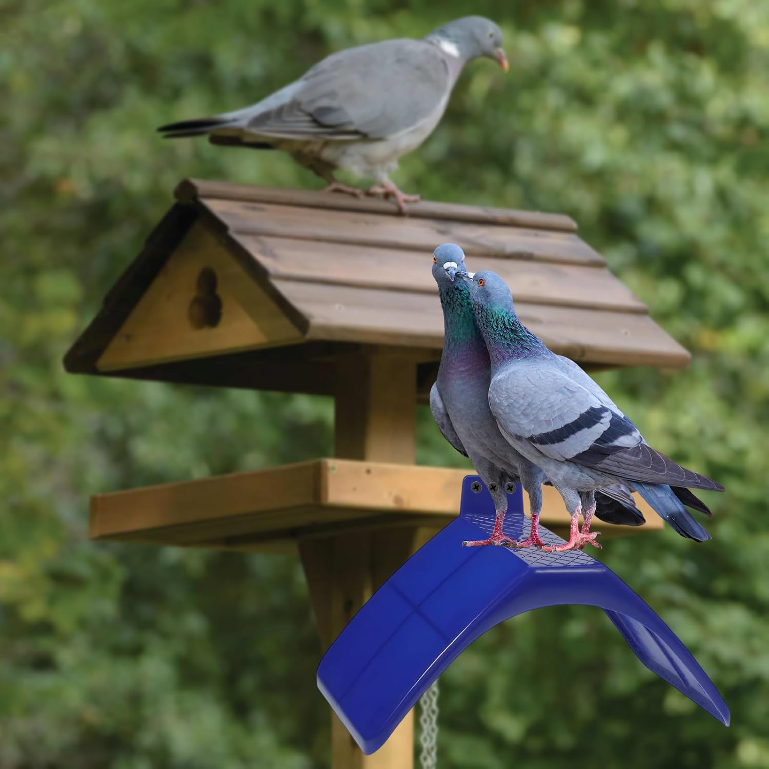Set of 4 Pigeon Trays, Plastic Bird Pigeon Stands, Dove Seating Board, Seat Board for Pigeons, Parrots and Other Birds, Roost Bird Supplies Accessories, 20 X 10 X 12 Cm, Blue image number 5