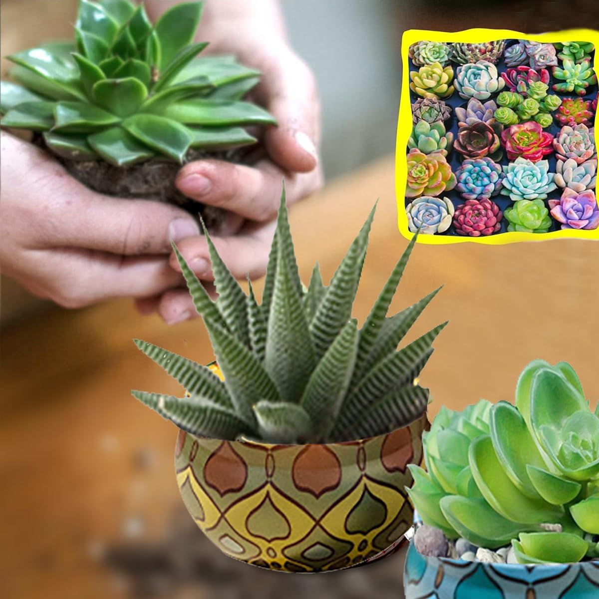 4 Pack Scented Candles Gift Set 80G X 4 100% Pure Natural Soy Wax Portable Travel Aromatherapy Tin Jar Candle for Birthday Christmas Valentine'S Mother'S Thanksgiving Day Women & Mom Gifts image number 2