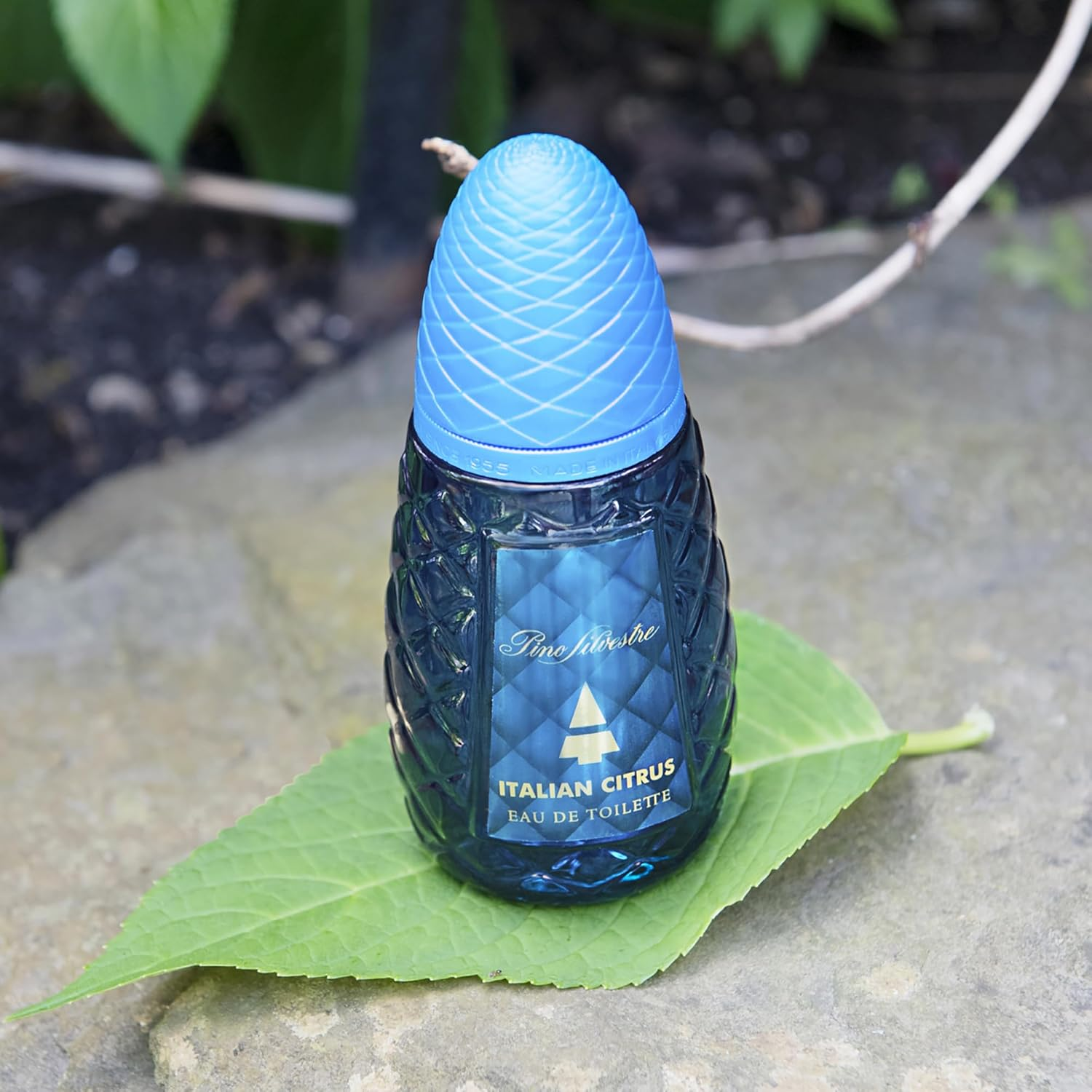 Italian Citrus by Pino Silvestre for Men - 2.5 Oz EDT Spray image number 1