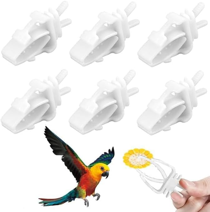 6Pcs Bird Cage Food Holder, Parrot Fruit Vegitable Bracket, Pet Feeder Clip Accessory, for Budgie Parakeet Cockatoo Macaw Cockatiel Conure