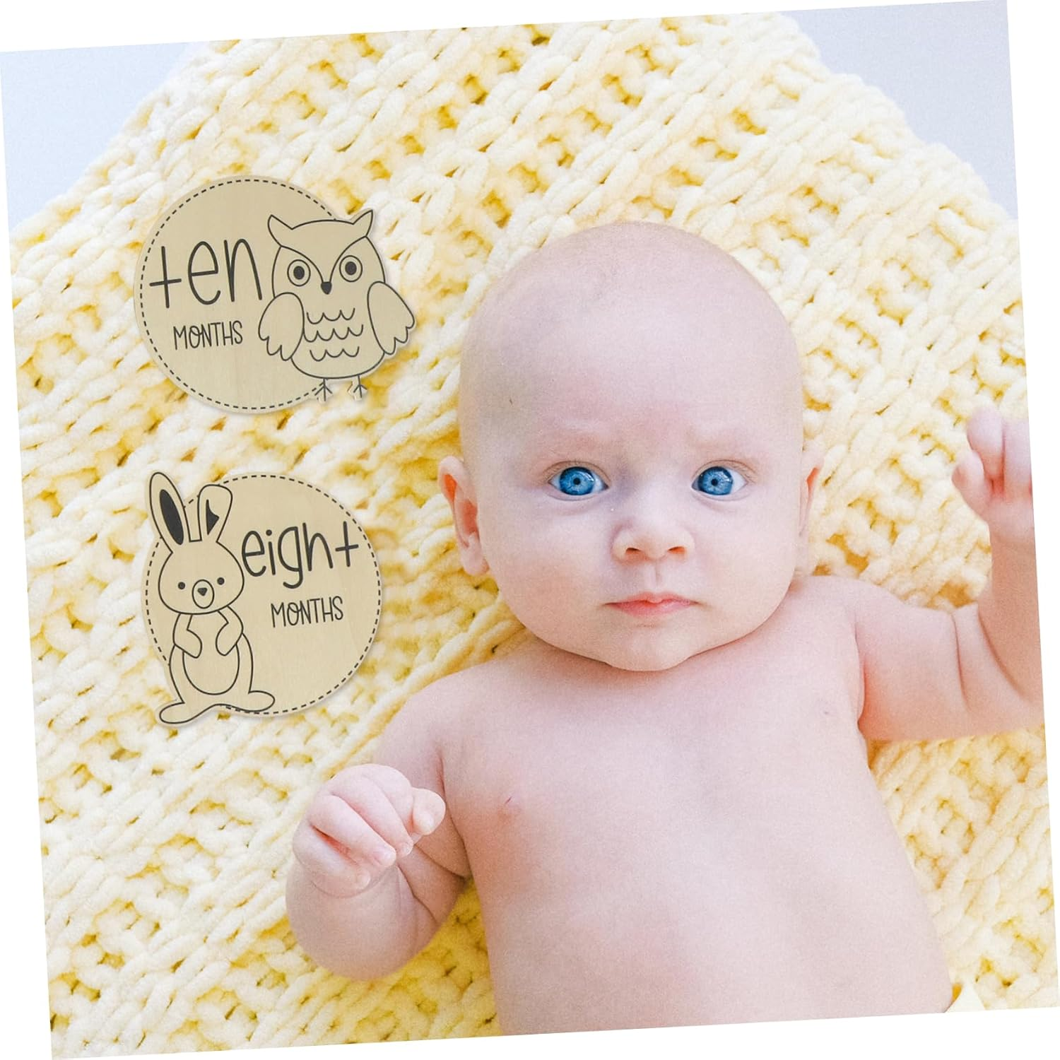 Healifty 12Pcs Animal Themed Milestone Cards Milestone Markers for Newborn Growth Photography for First Year Shower image number 4